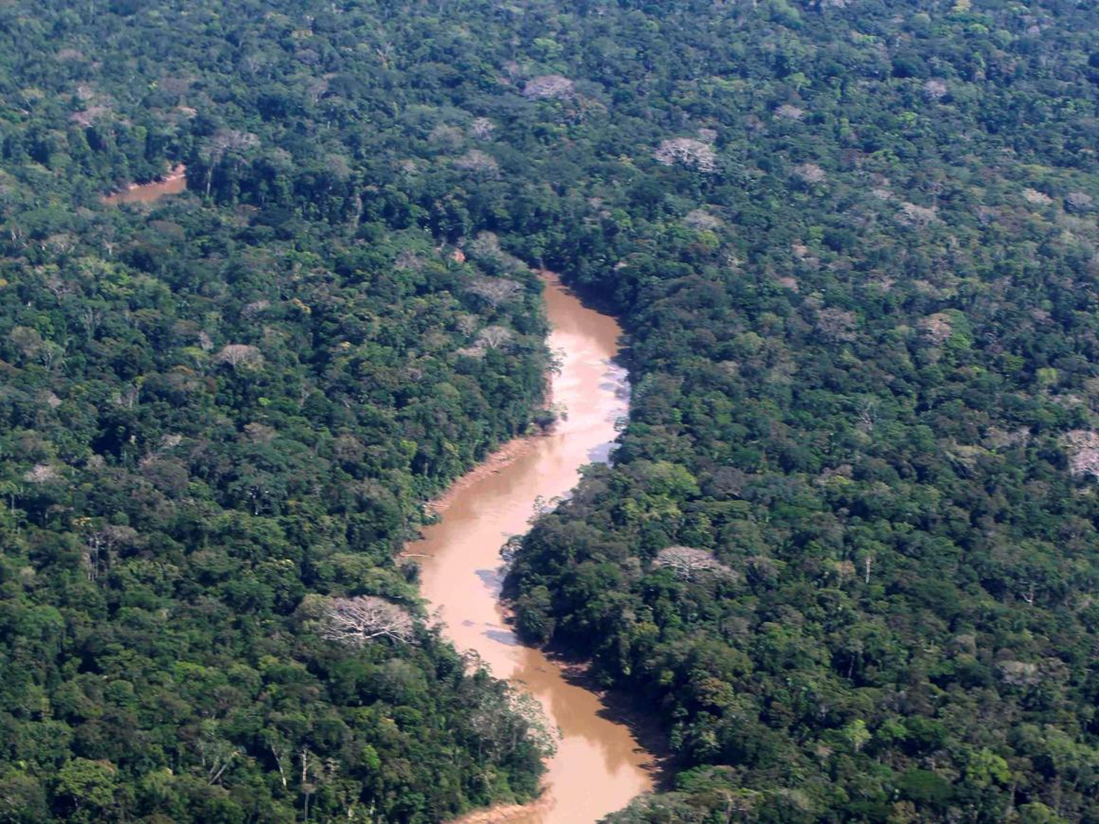Una vista aérea del río Tiputini en la selva ecuatoriana, el 7 de septiembre del 2016.