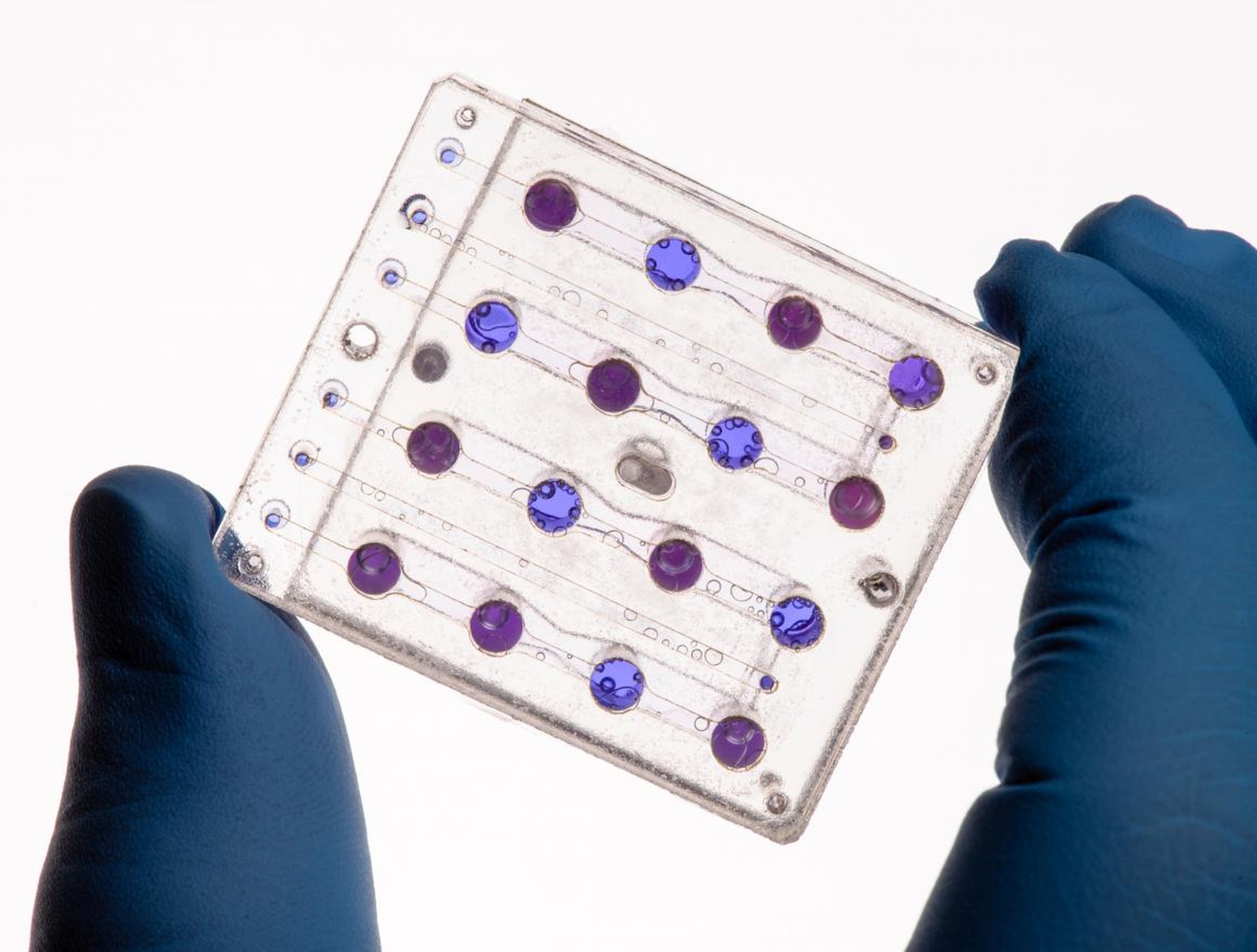 La tarjeta de microfluidos de BioSentinel, diseñada en el Ames de la NASA, se utilizará para estudiar el impacto de la radiación espacial interplanetaria en la levadura.