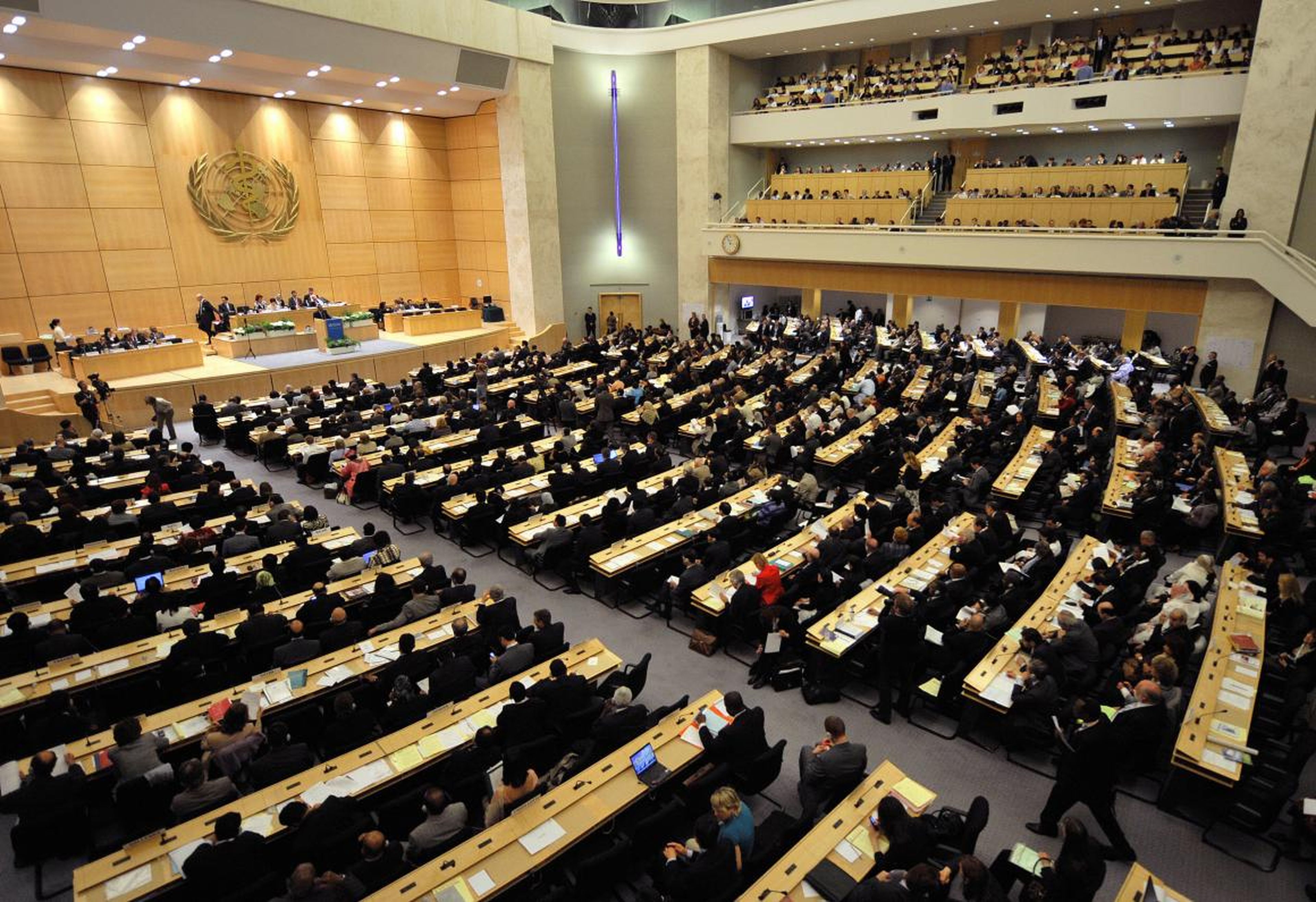 The World Health Organization assembly in Geneva in May 2008.