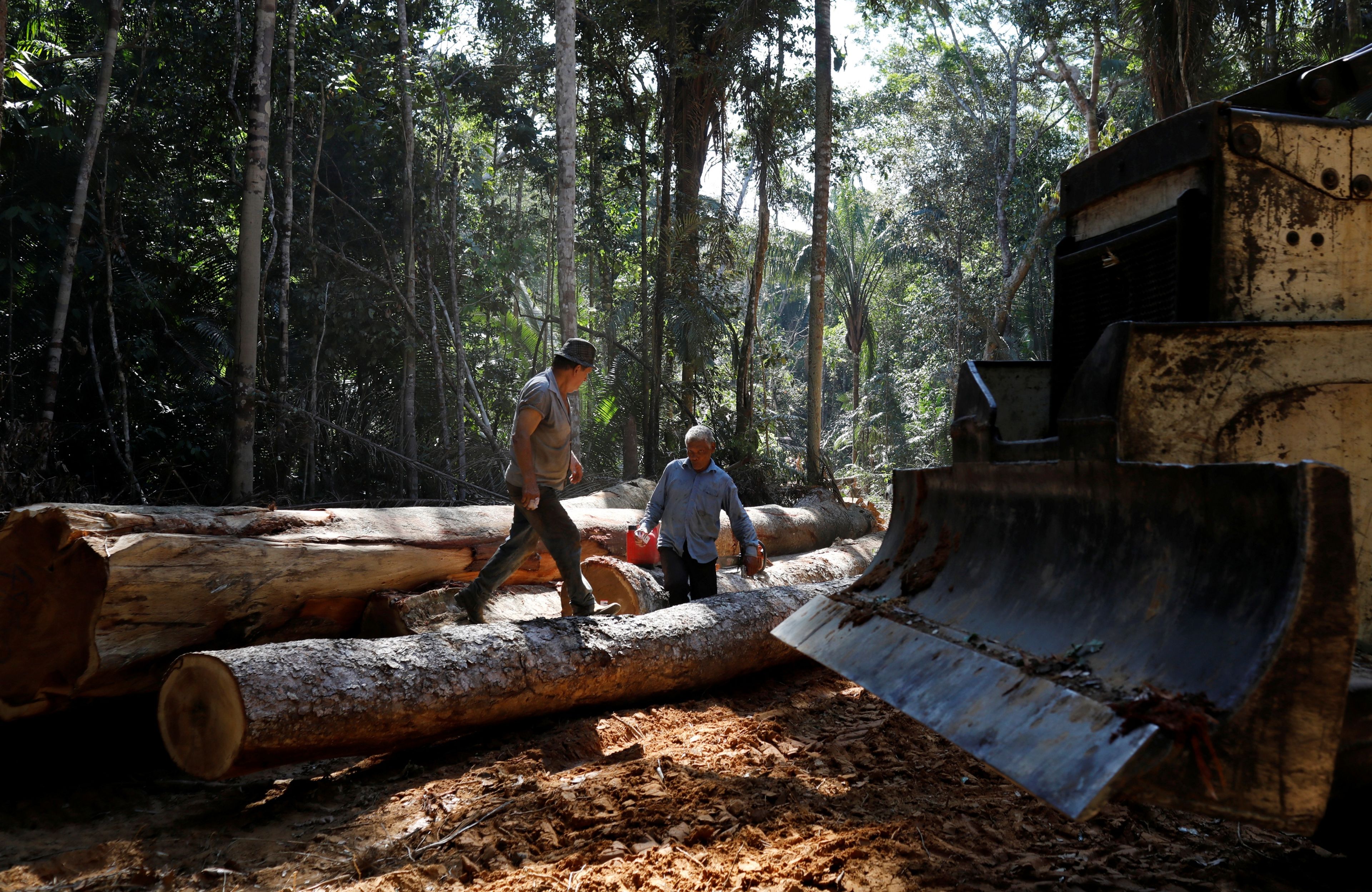 Deforestación en Bom Retiro, el Amazonas de Brasil