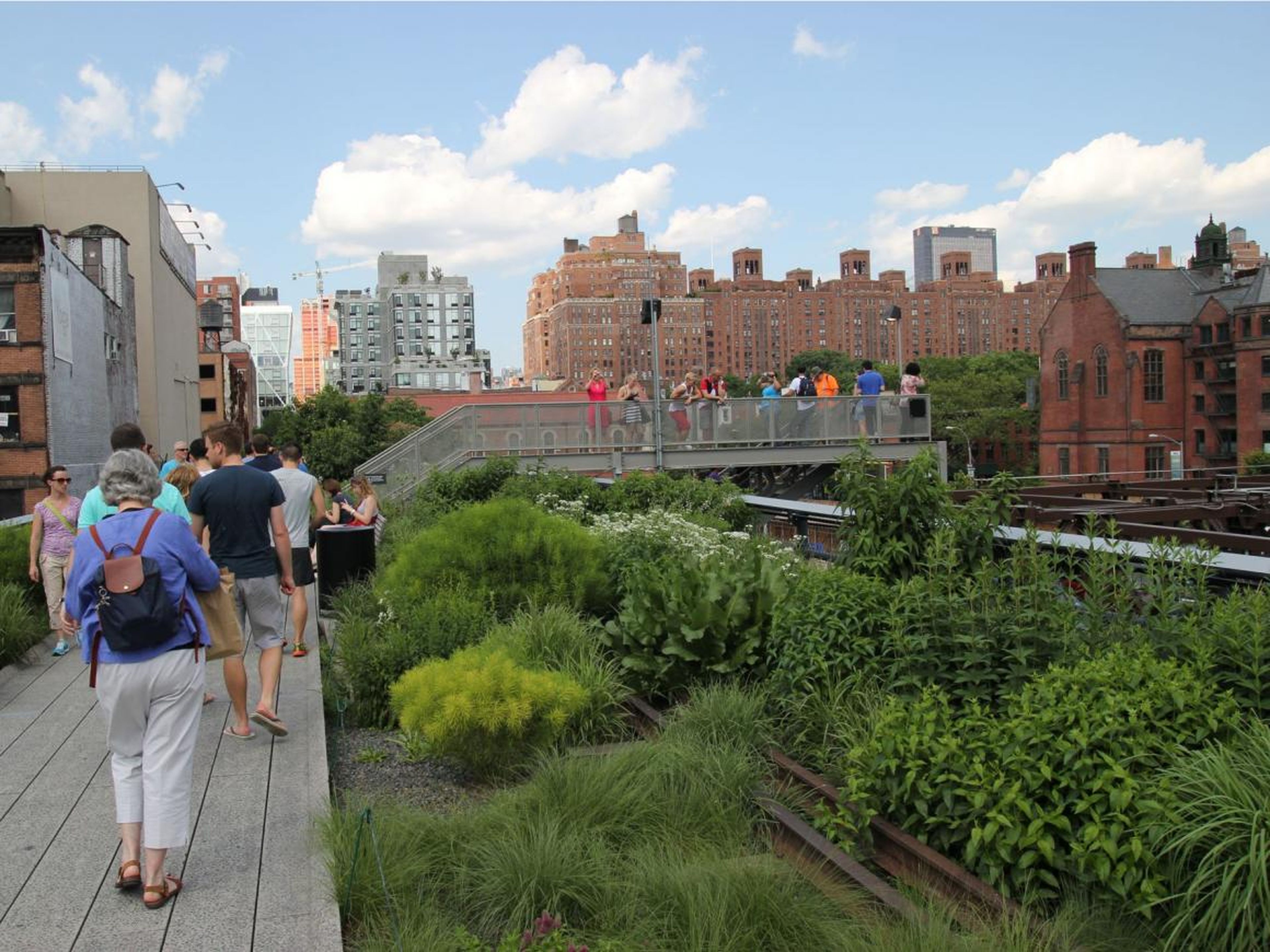 'High Line' en la ciudad de Nueva York es un ejemplo de arquitectura biofílica.