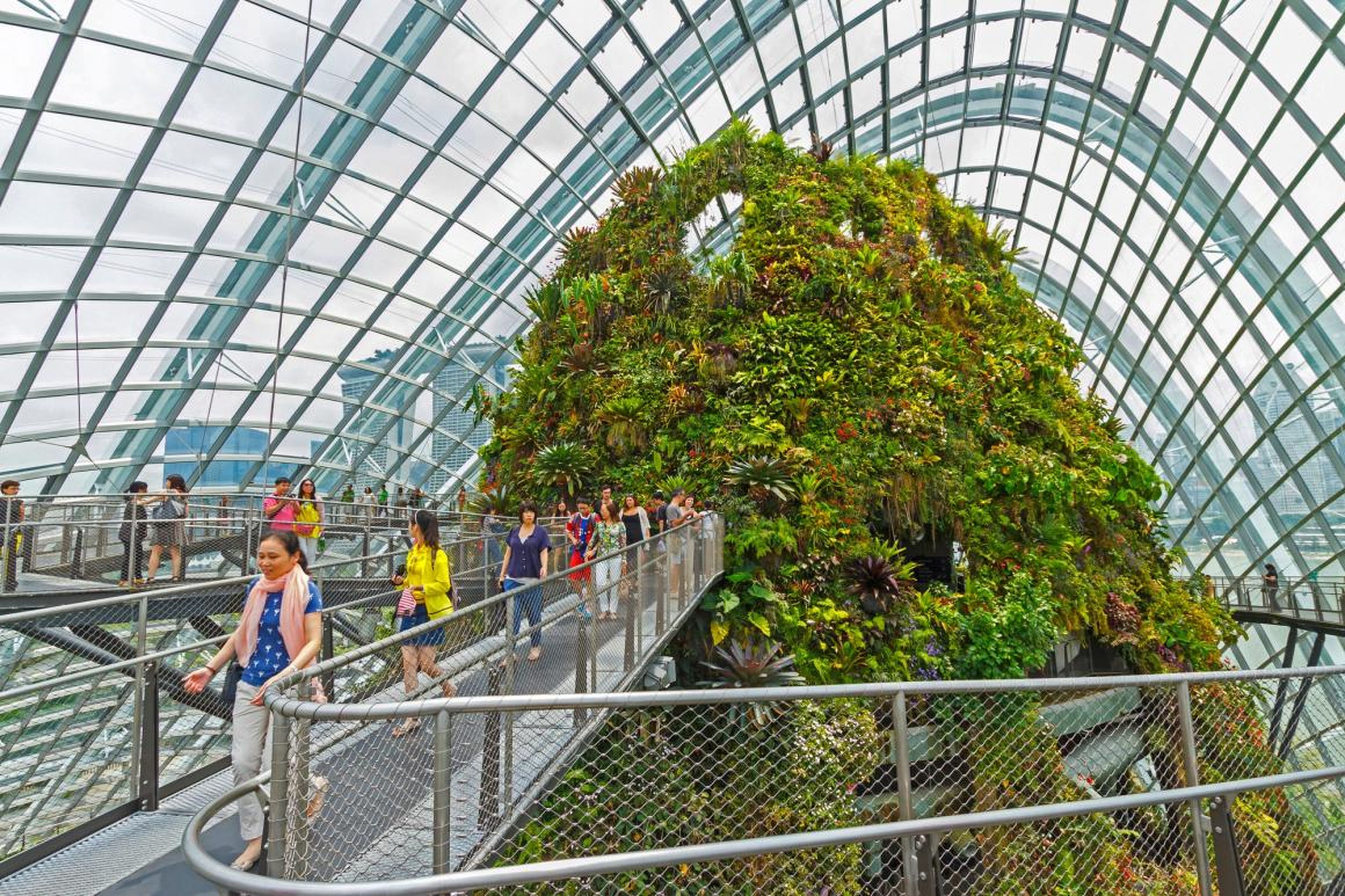Cloud Forest has an indoor mountain that is flushed with life ...