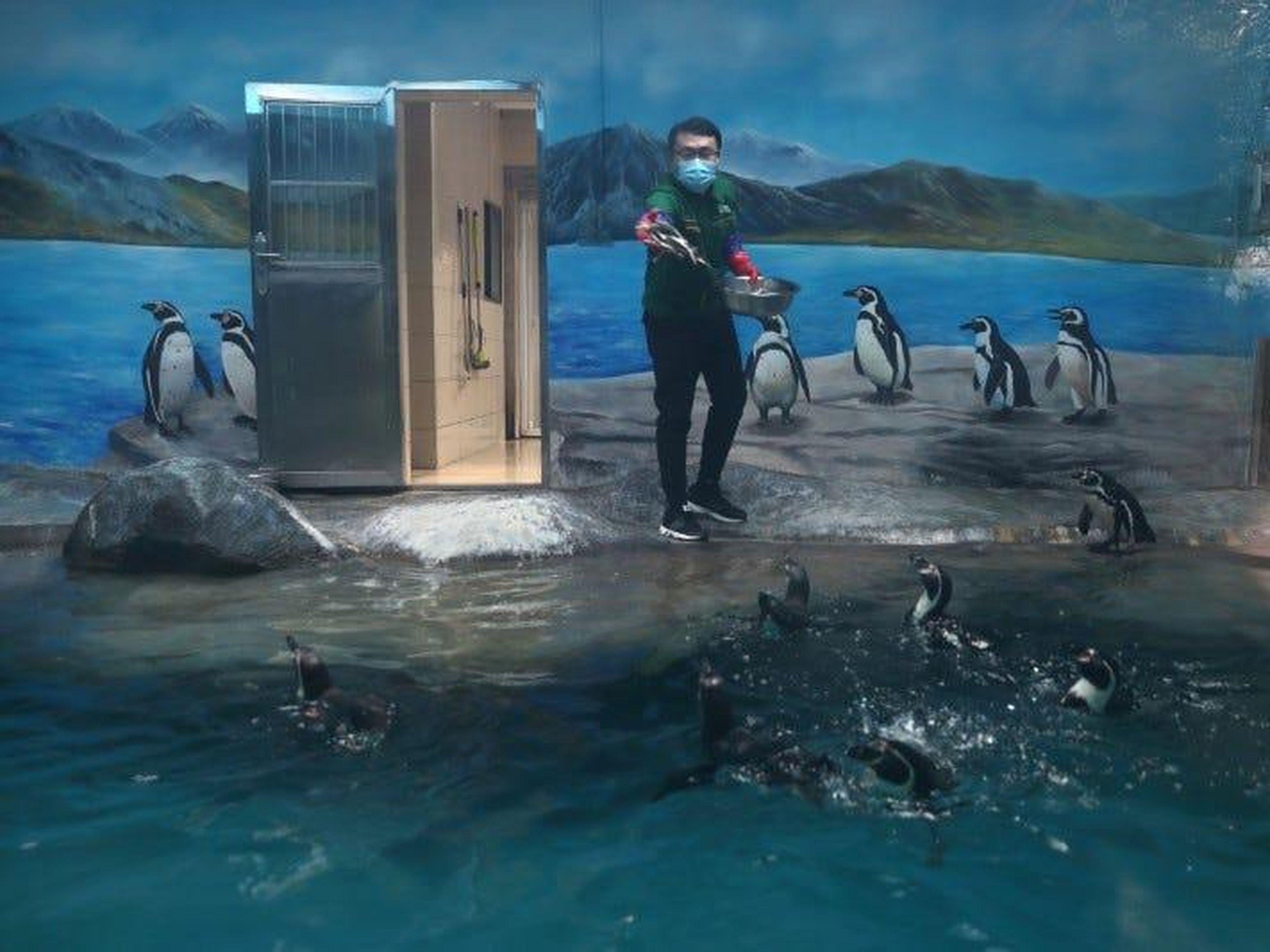 Un empleado con una mascarilla alimenta a los pingüinos del zoológico de Wuhan el 22 de marzo de 2020.