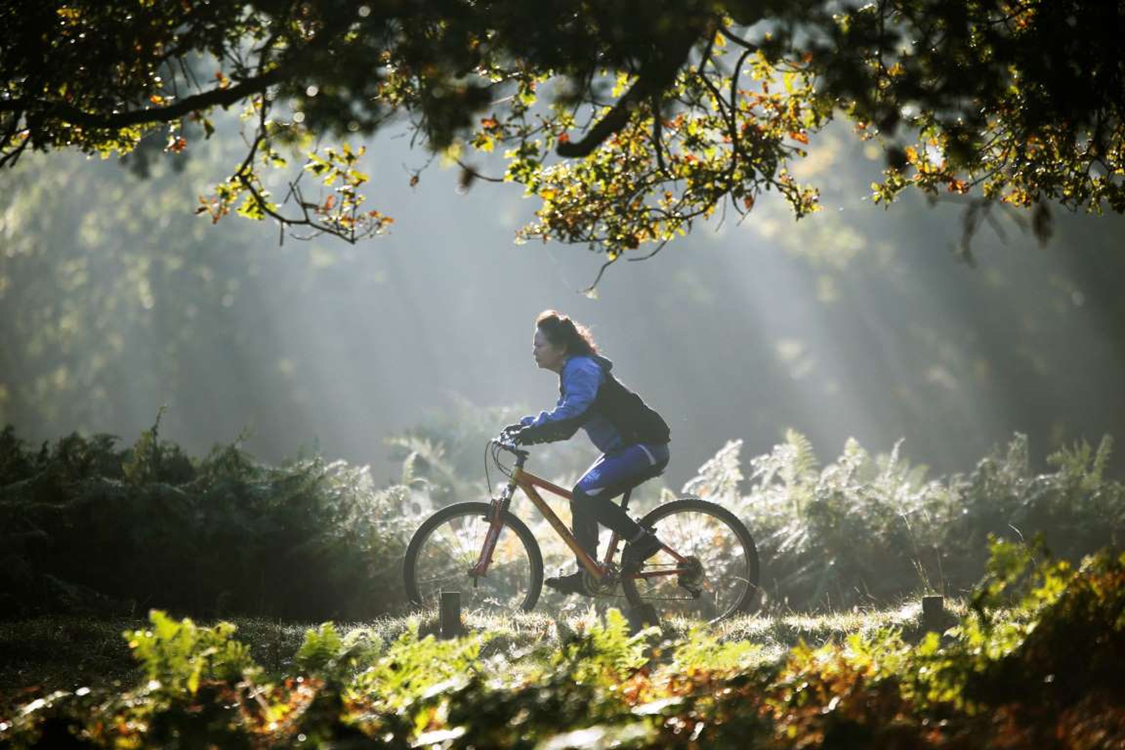 Una mujer montando en bicicleta bajo el sol del otoño en el Richmond Park de Londres.