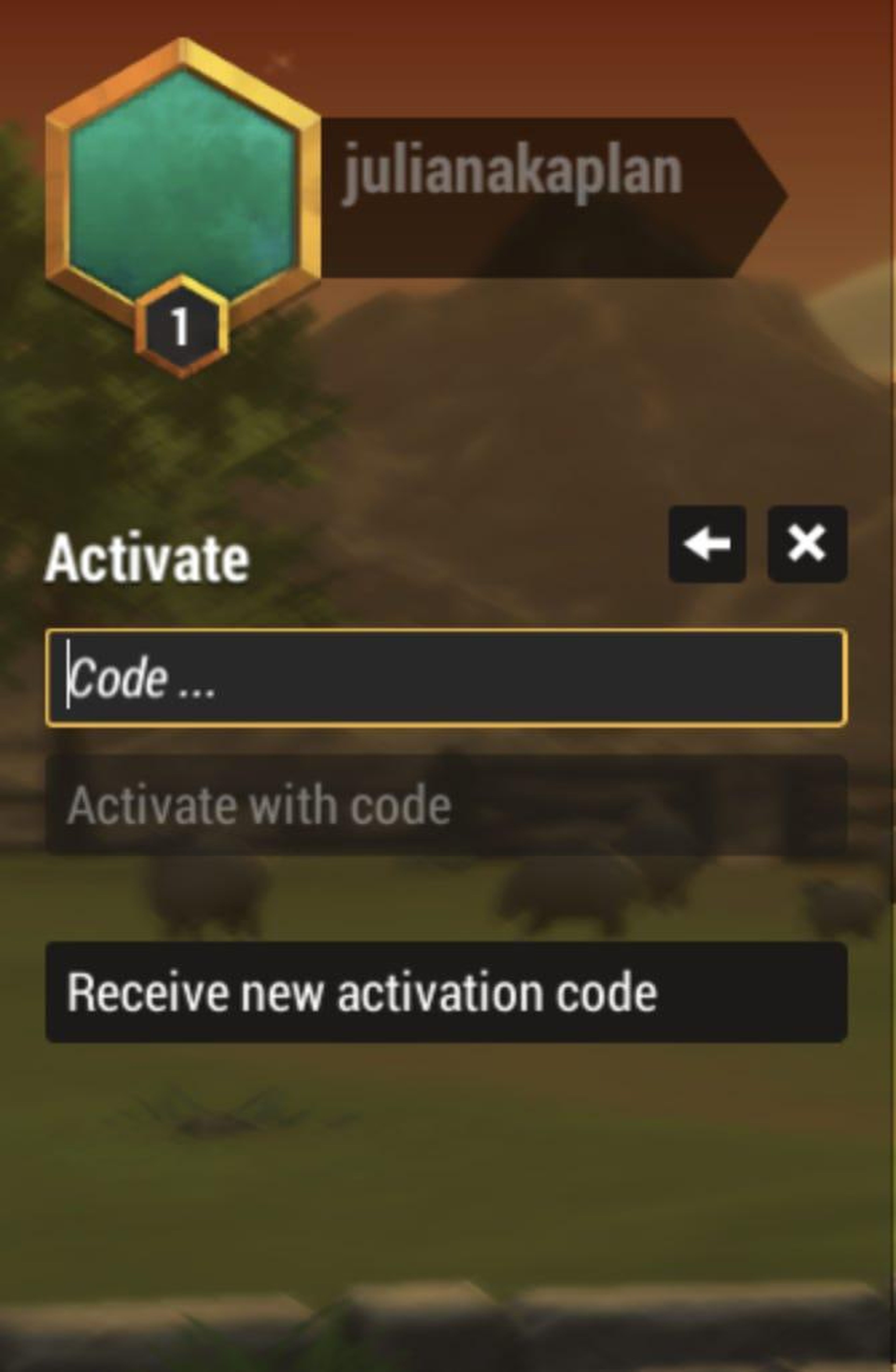 The activation code screen.