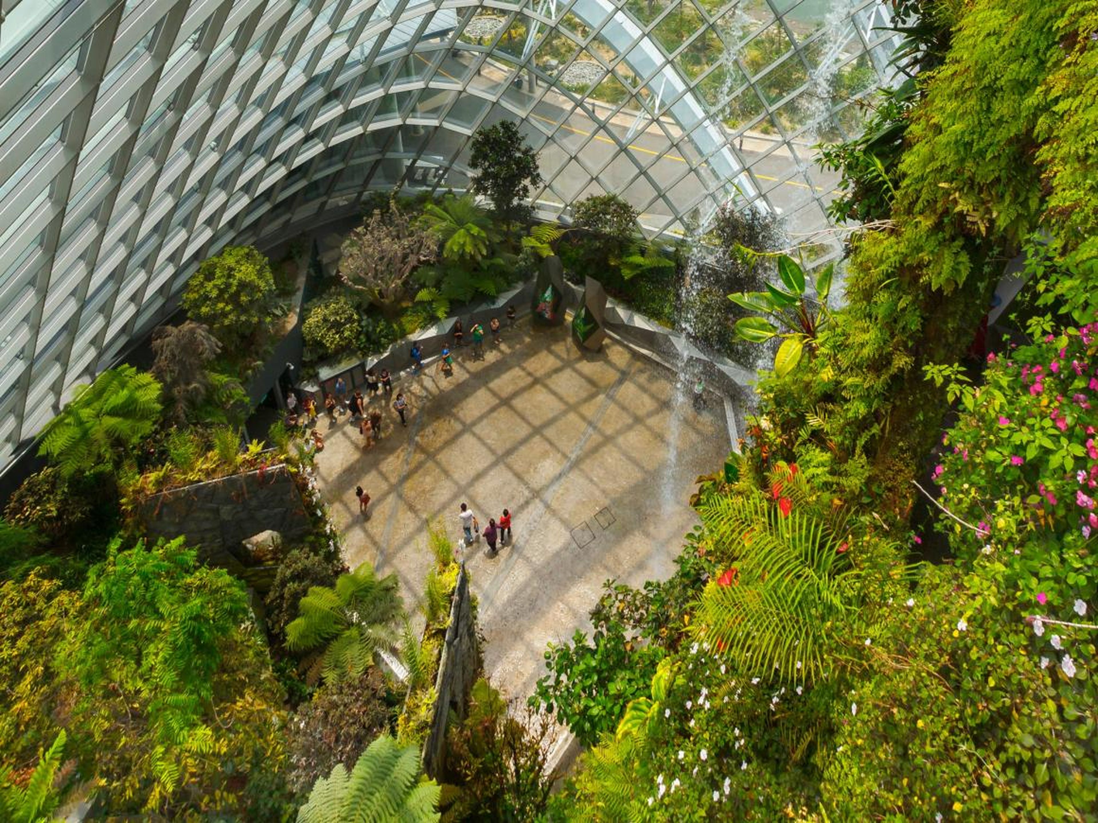 This place is not for working, though. Cloud Forest and another exhibit called Flower Dome are twin exhibits that teach patrons about the diversity of plant life outside of Singapore.