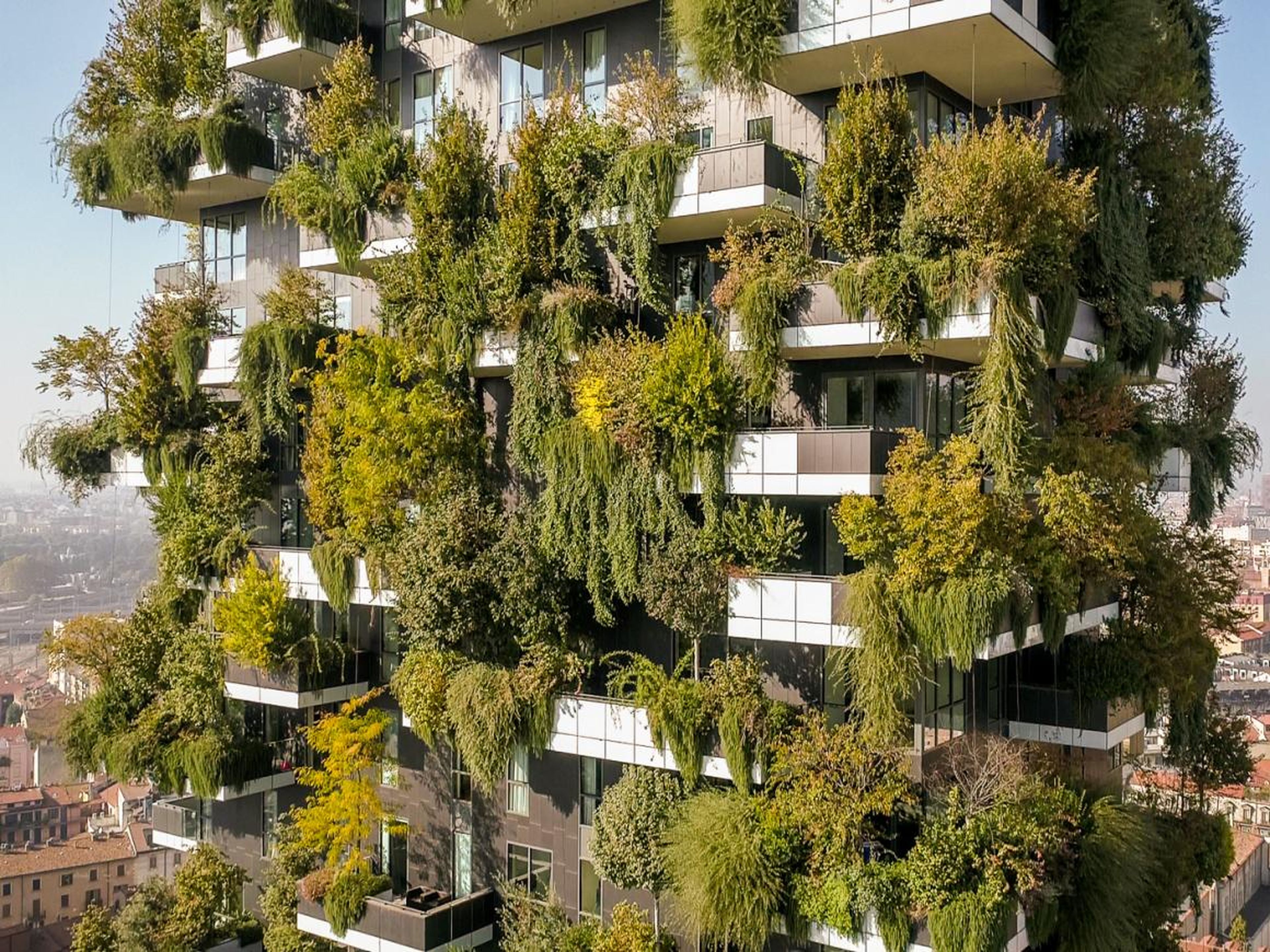 Plants on the outside of the building help reduce smog in the air and regulate indoor temperatures.