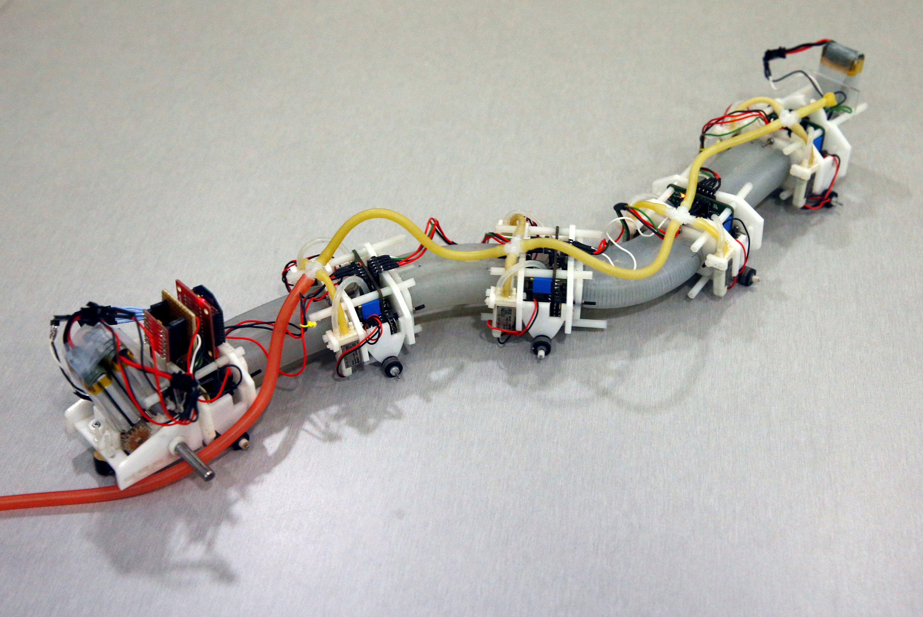 Un robot blando diseñado por un equipo del Instituto Politécnico de Worcester en los EE. UU., en forma de salamandra, se exhibe en Singapur el 5 de junio de 2017.