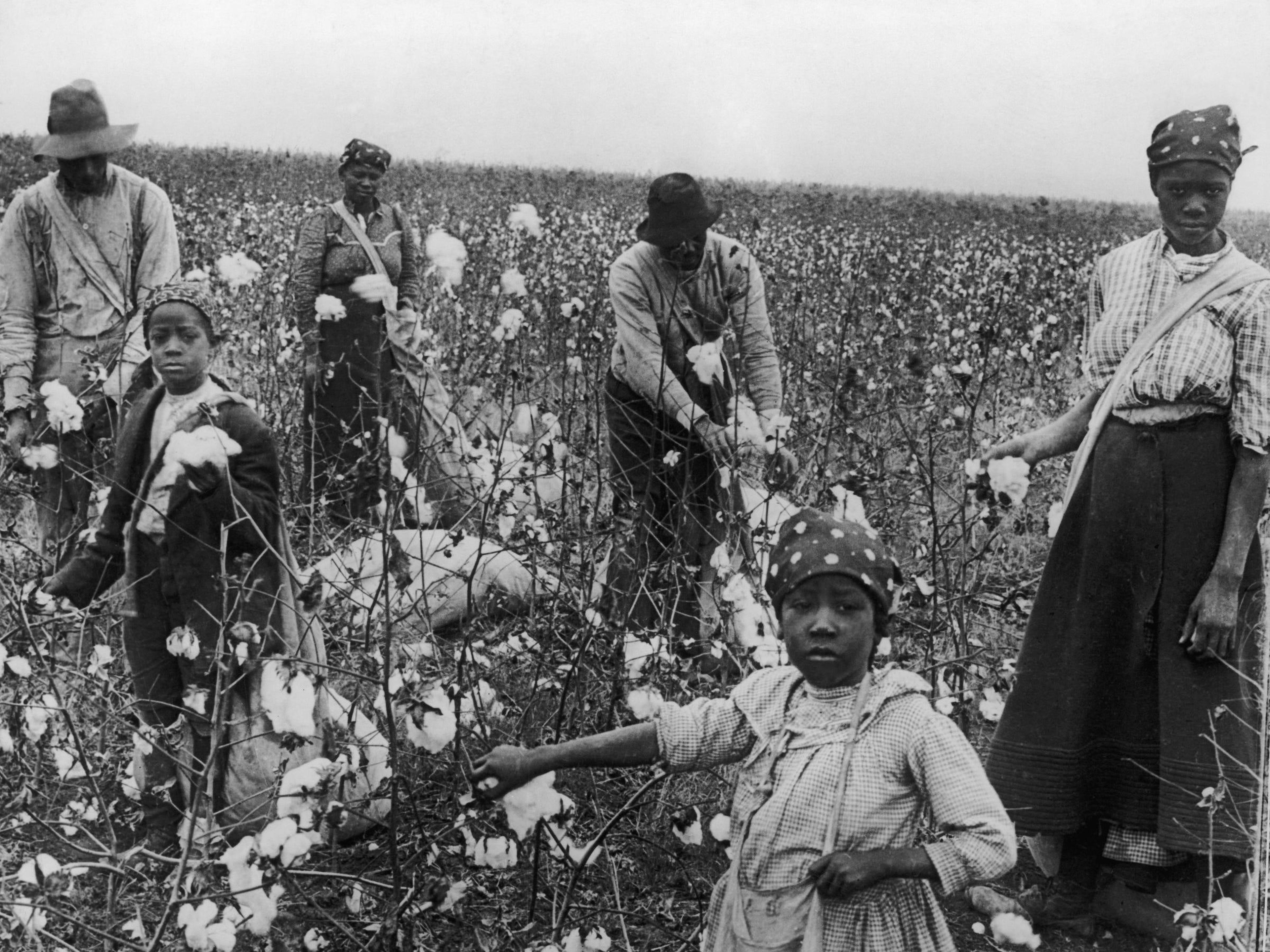 Mujeres y hombres recogen algodón en Texas.