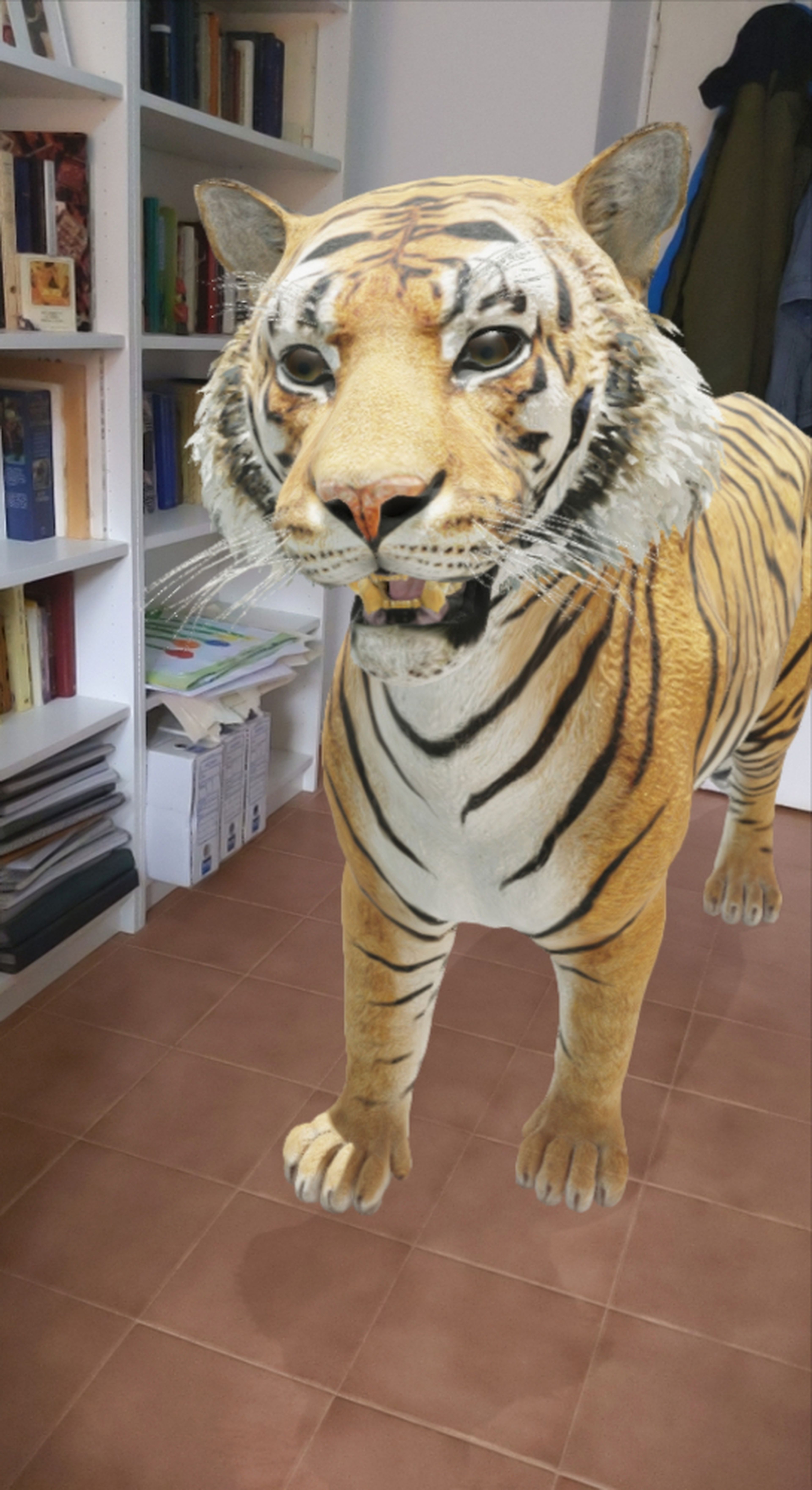 tigre animal 3D
