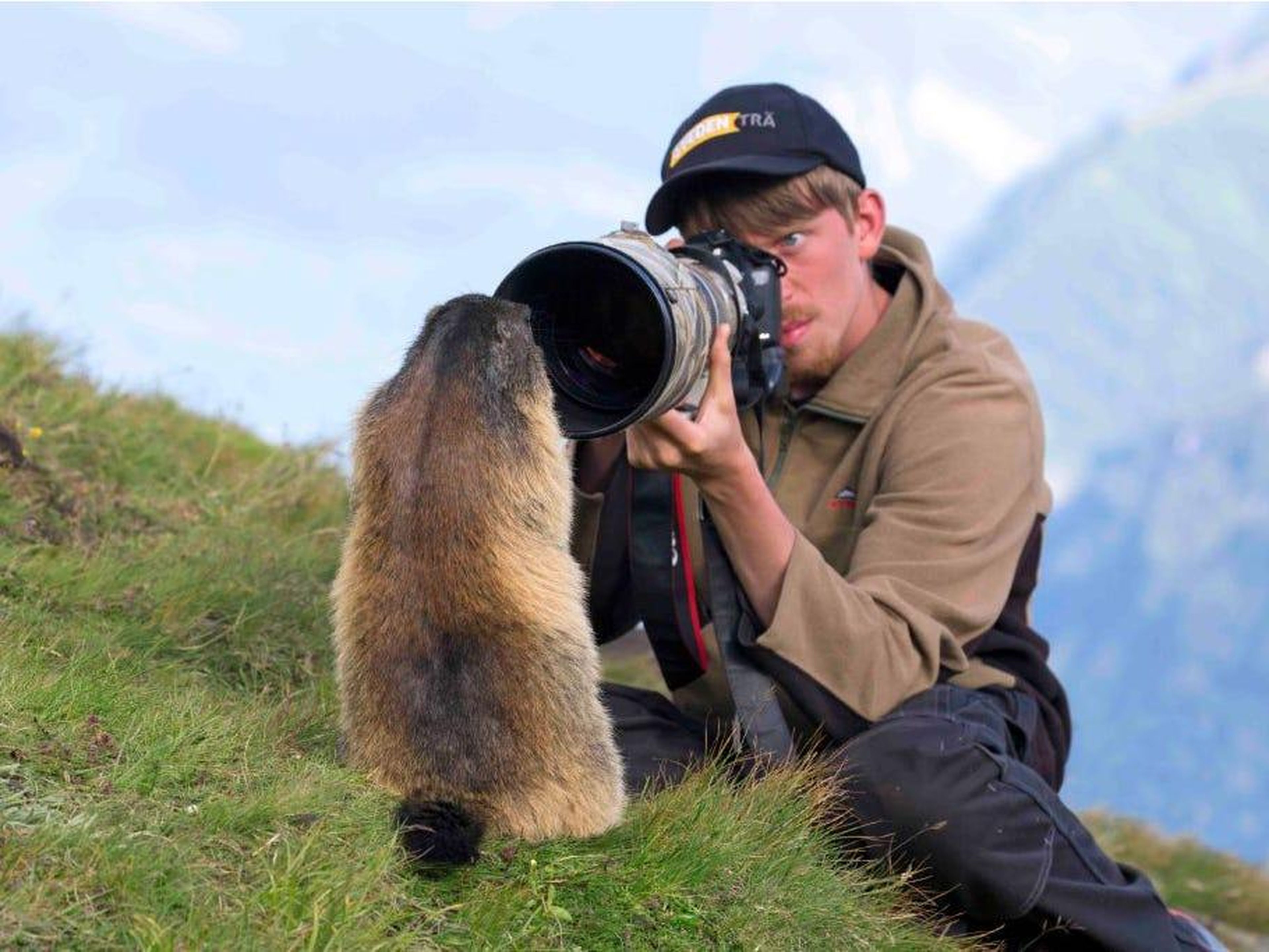 Un fotógrafo de naturaleza haciéndole una foto a una marmota alpina.