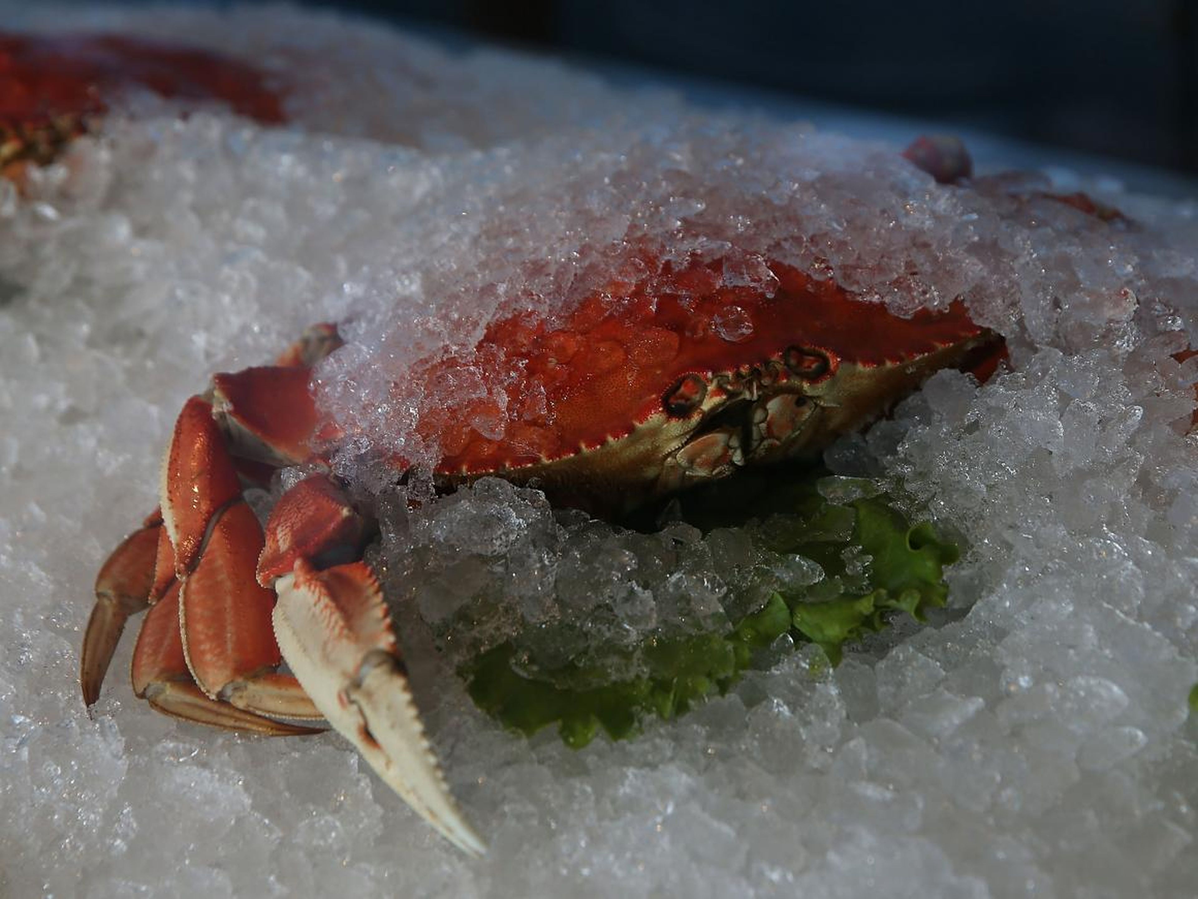 Un cangrejo cocido sobre hielo en el restaurante de Alioto.