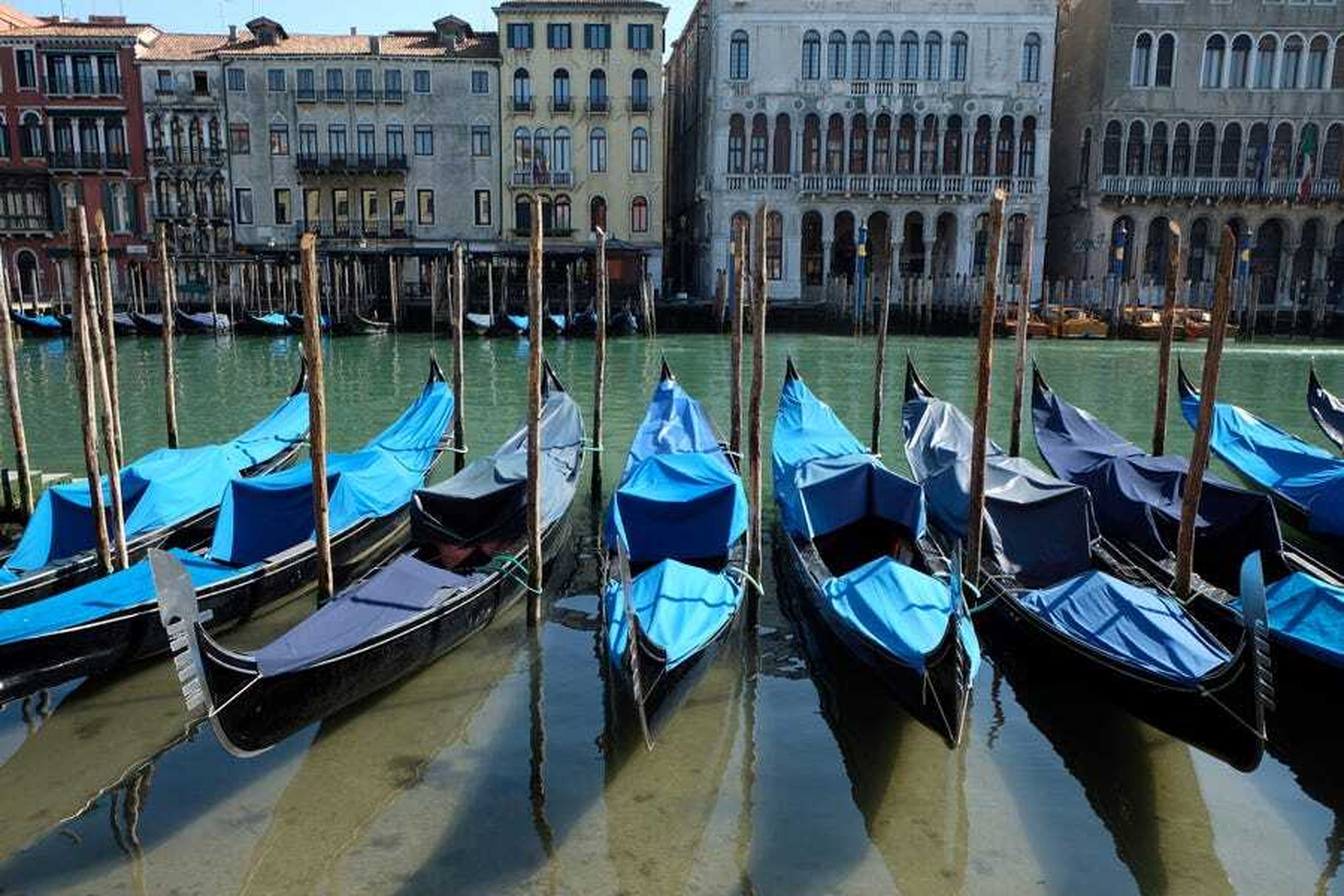 Una fila de góndolas en las claras aguas de Venecia.