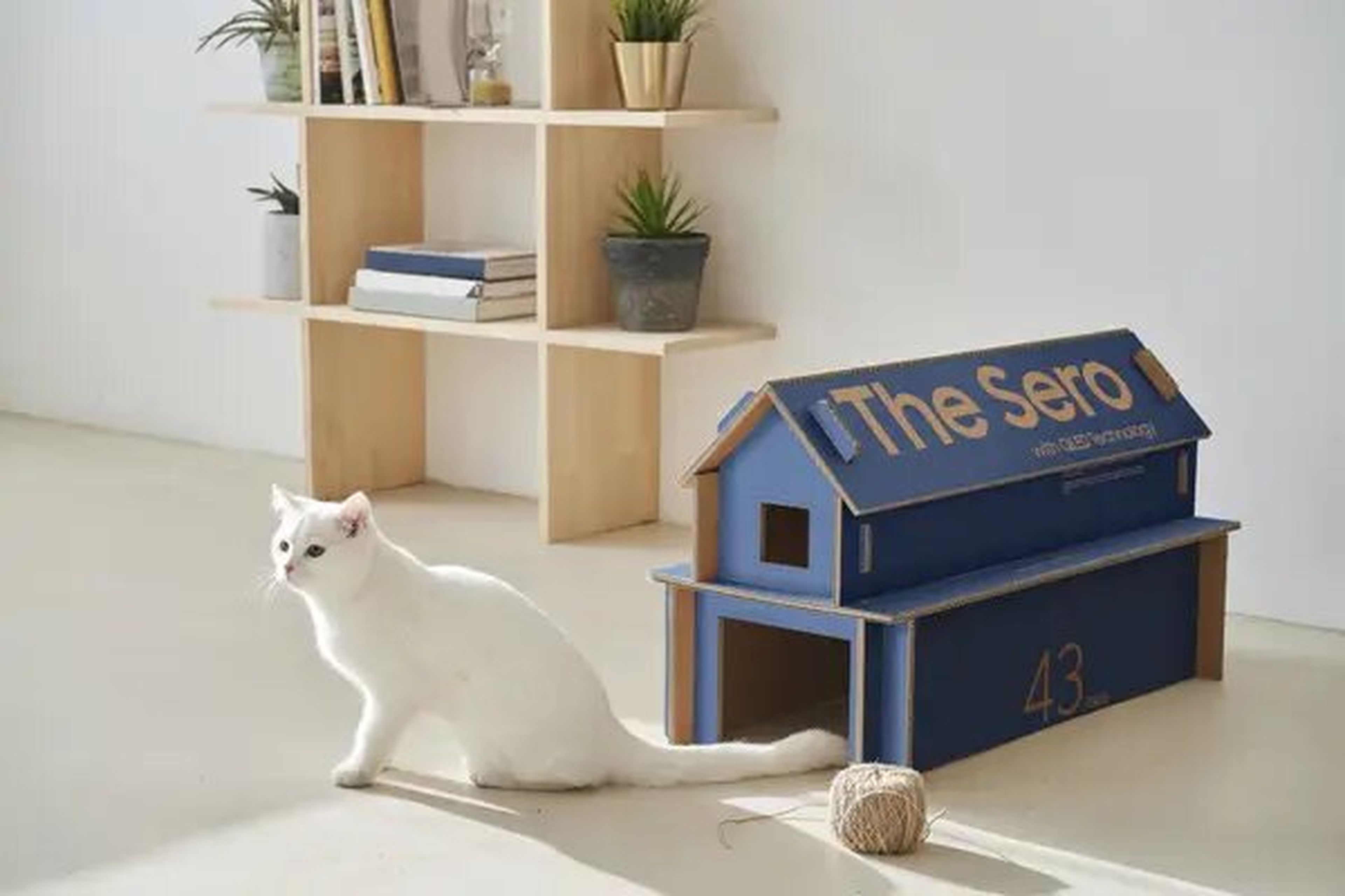 Cajas para gatos de Samsung