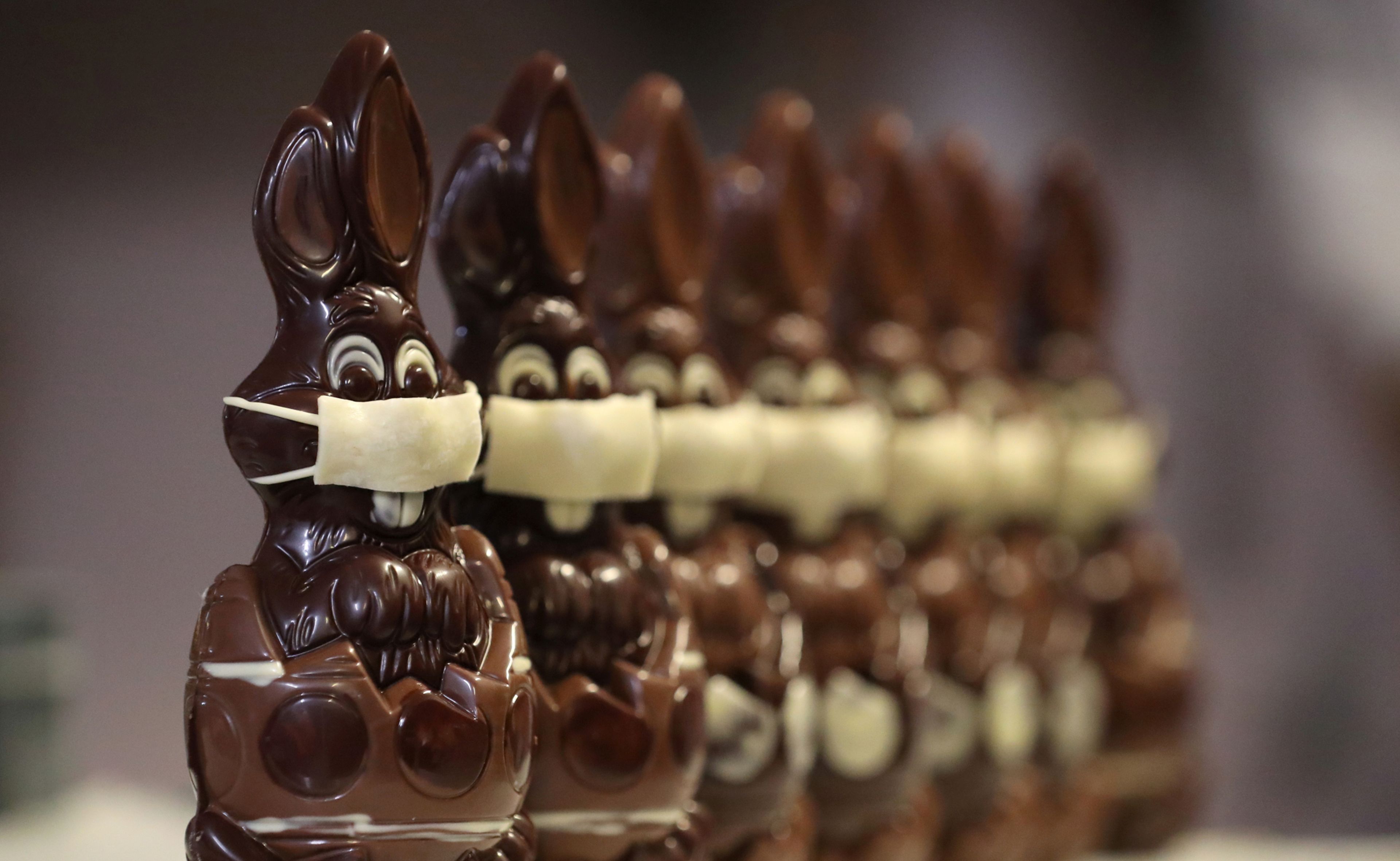 Conejos de Pascua de chocolate con mascarilla
