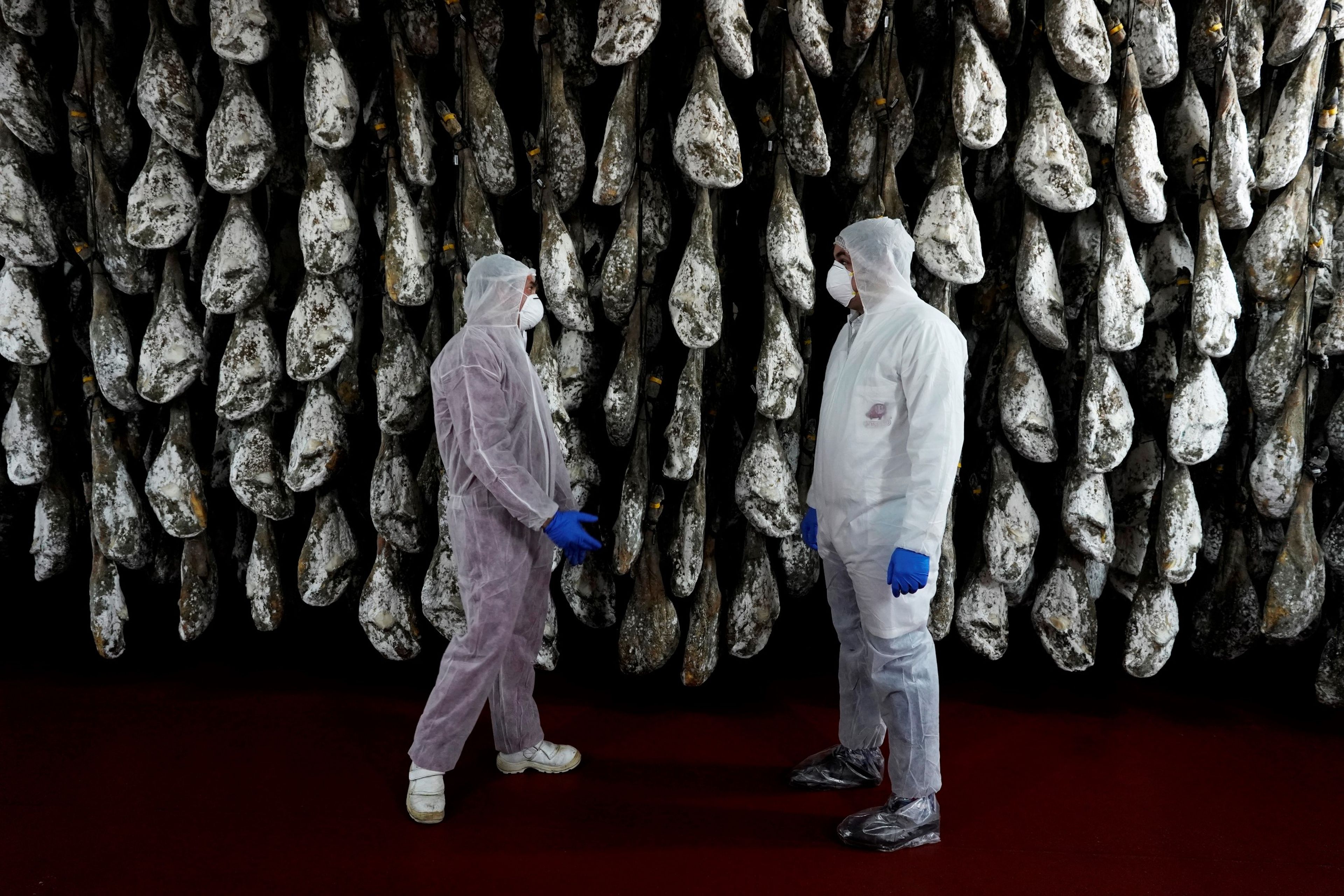 Dos trabajadores vestidos con trajes protectores por la pandemia del coronavirus en una bodeja de jamones en Guijuelo (Salamanca).