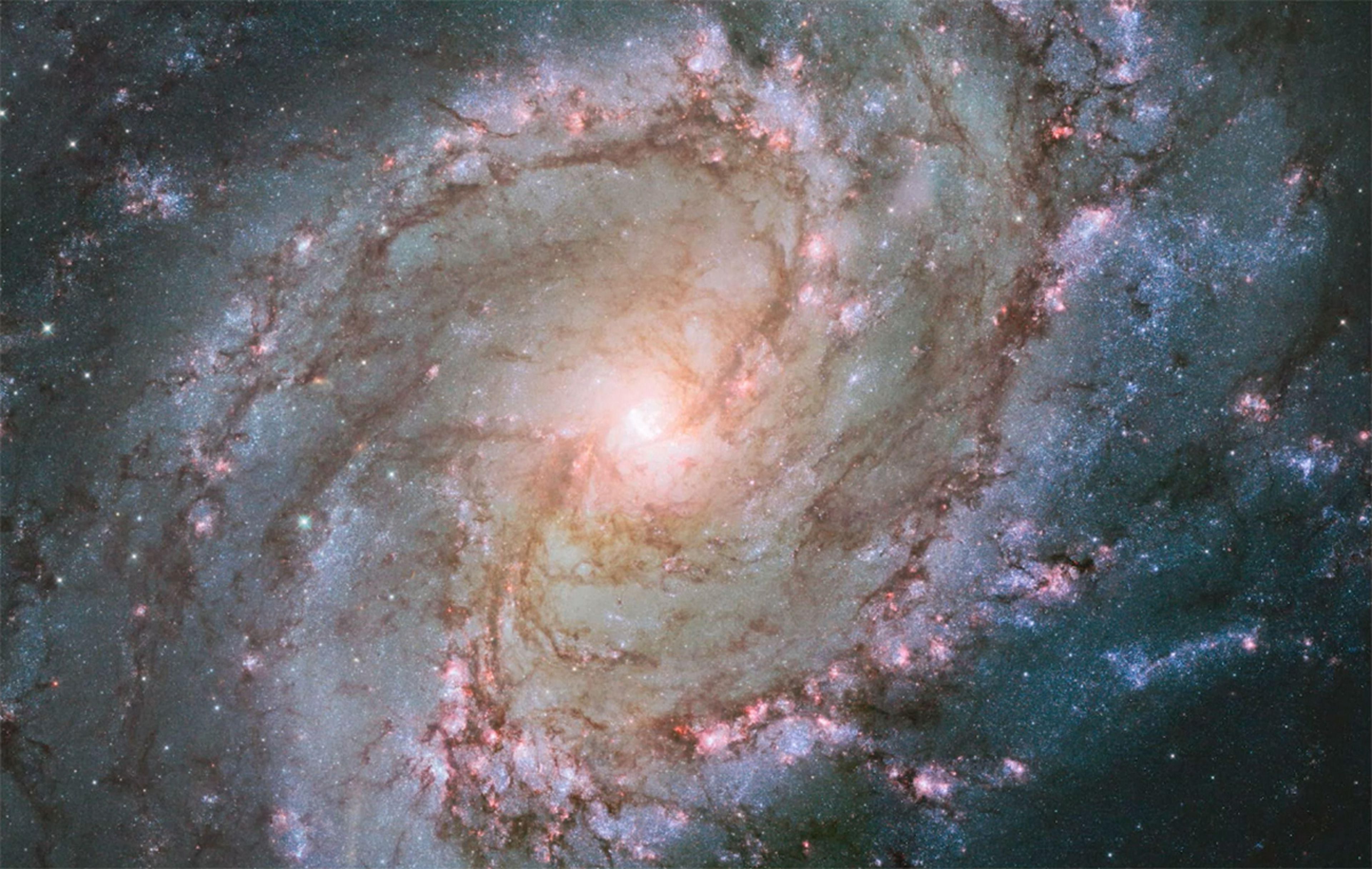 Galaxia Messier 83 o Molinillo Austral capturada por el telescopio Hubble.