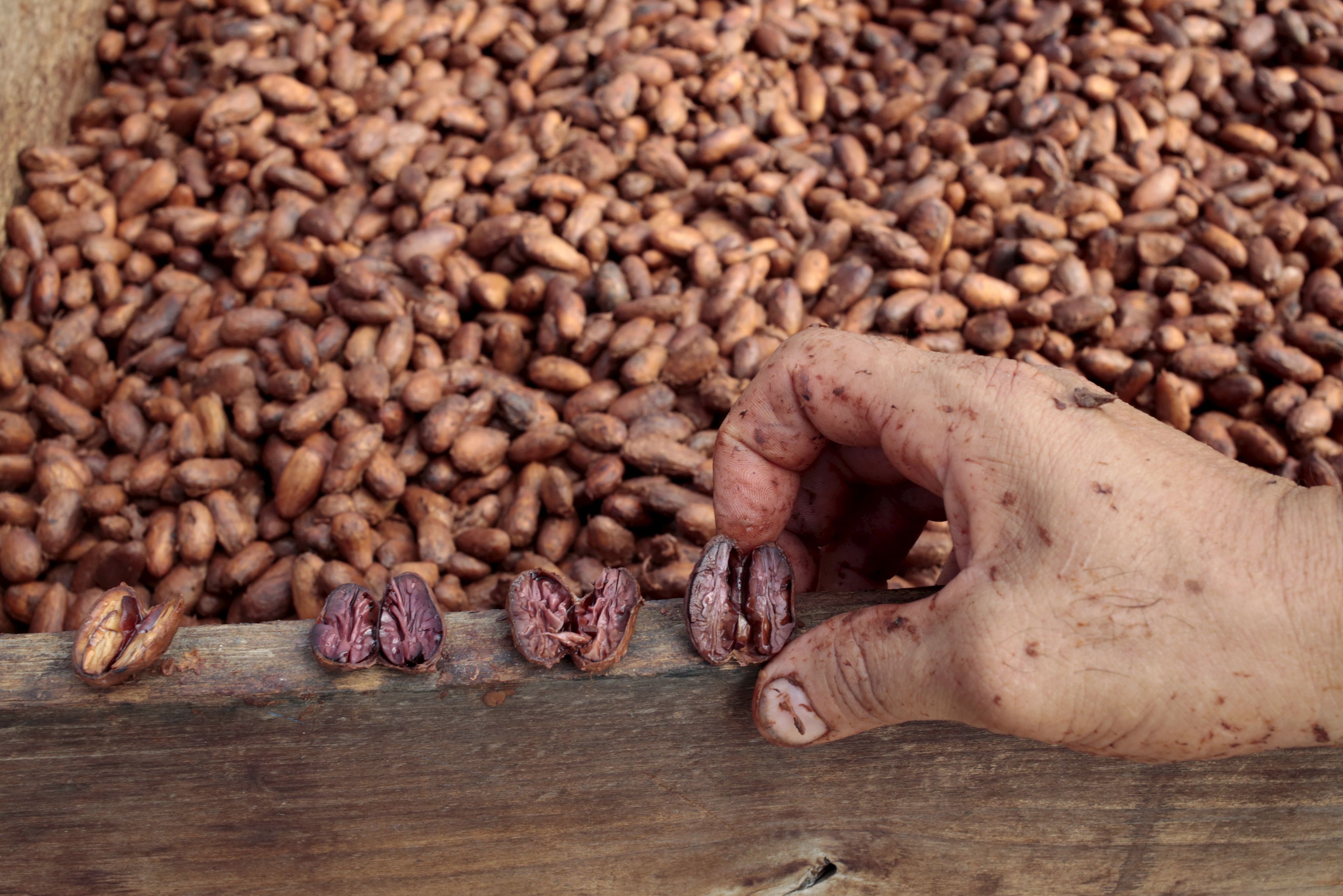 Granos de café en una cooperativa de Nicaragua