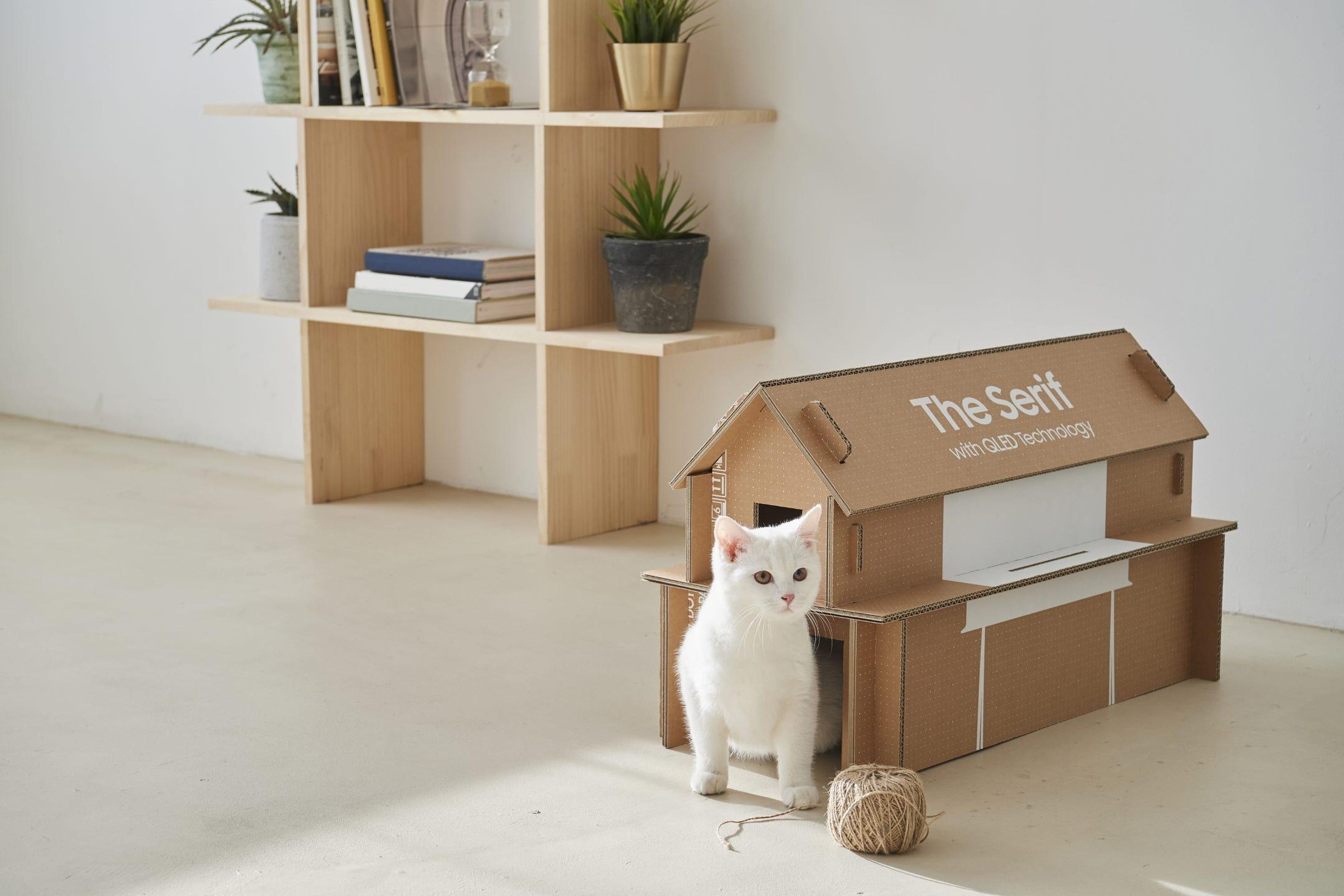 Samsung redesigned the packaging of its luxury TVs so the boxes can be turned into cardboard cat houses and books racks