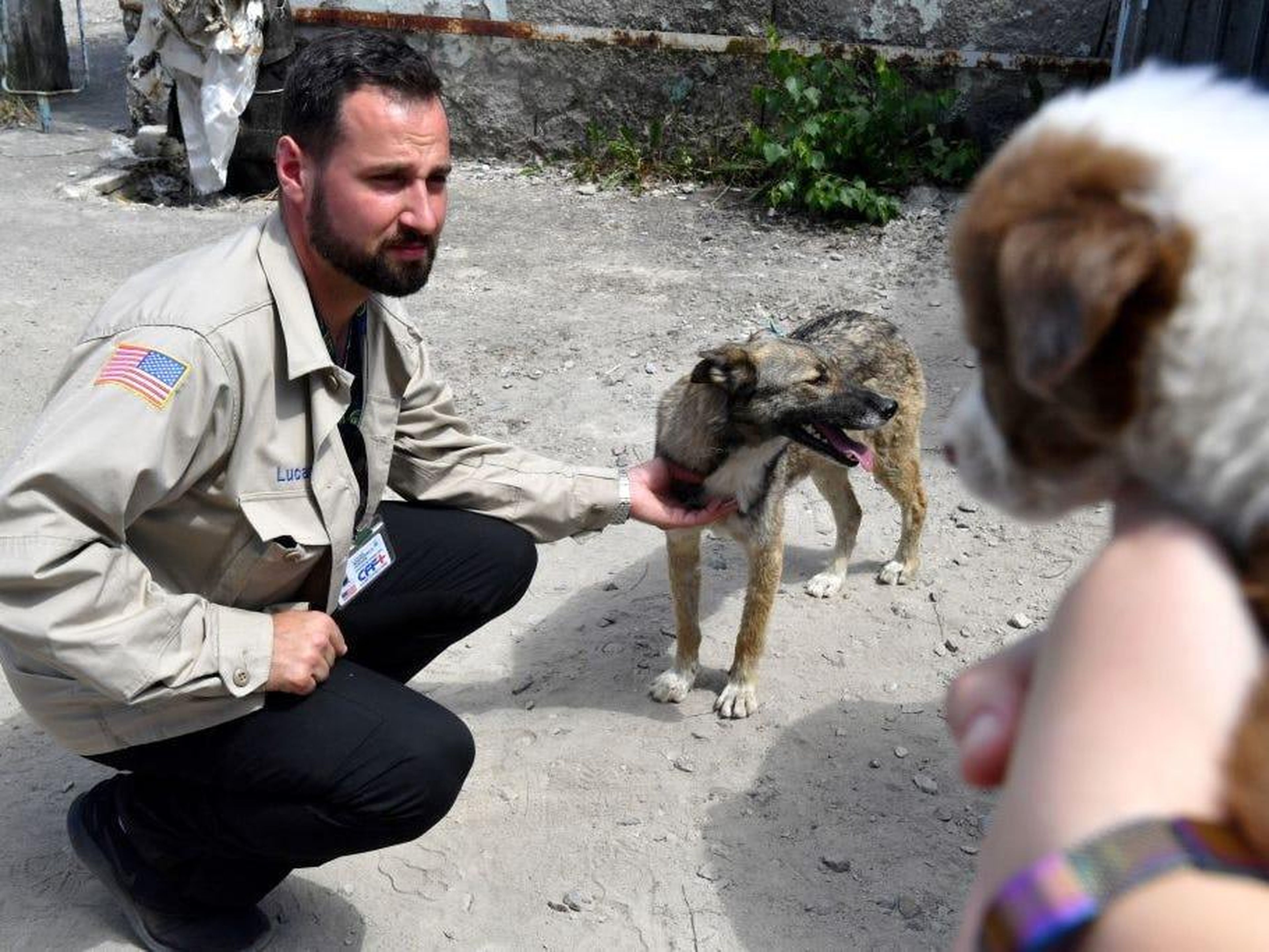 Lucas Hixson, cofundador de CFF, acaricia a un perro callejero cerca de la planta de energía de Chernobyl en 2018.