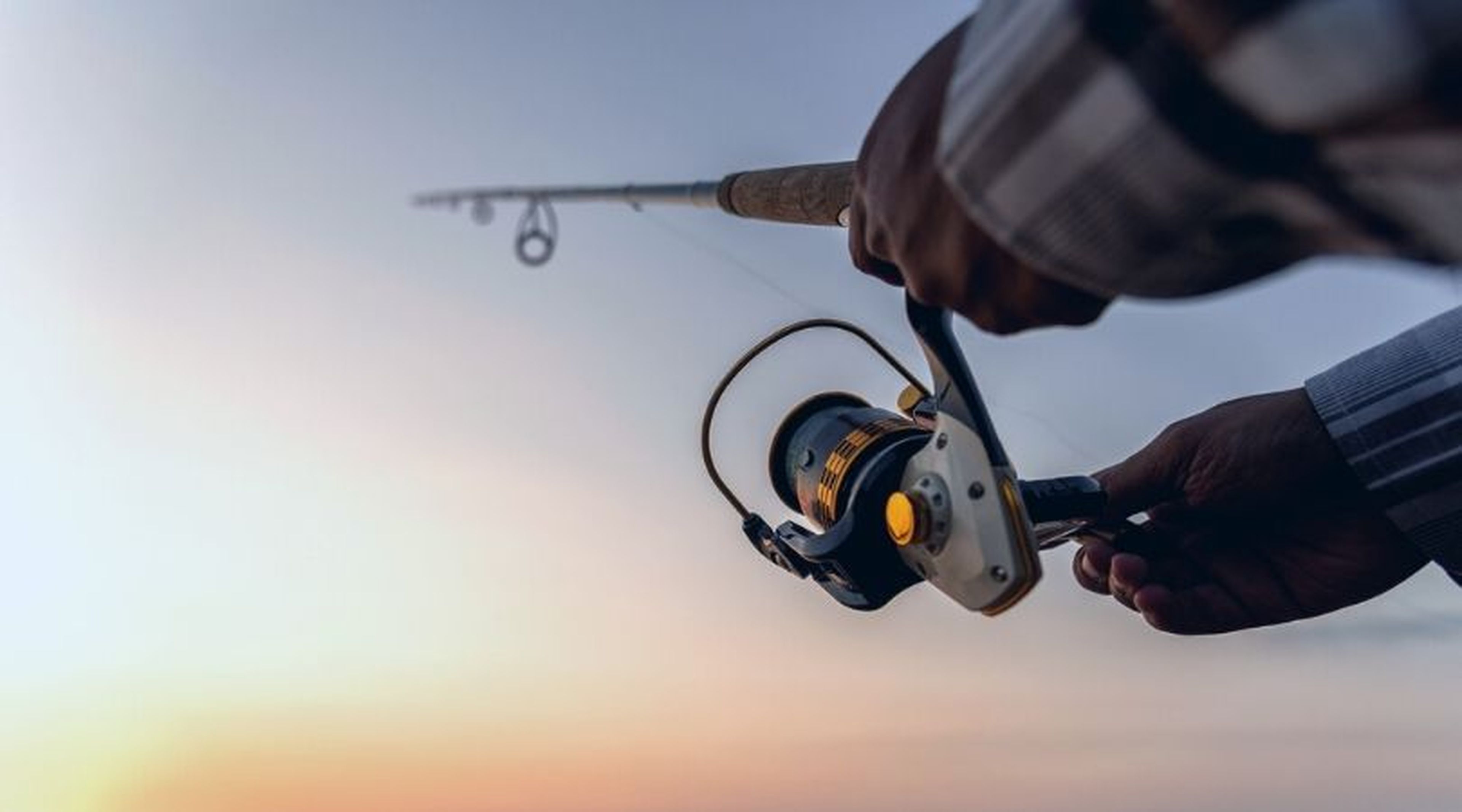 alabanza Inminente Molde 5 cañas de pescar baratas y buenas para principiantes y novatos | Business  Insider España