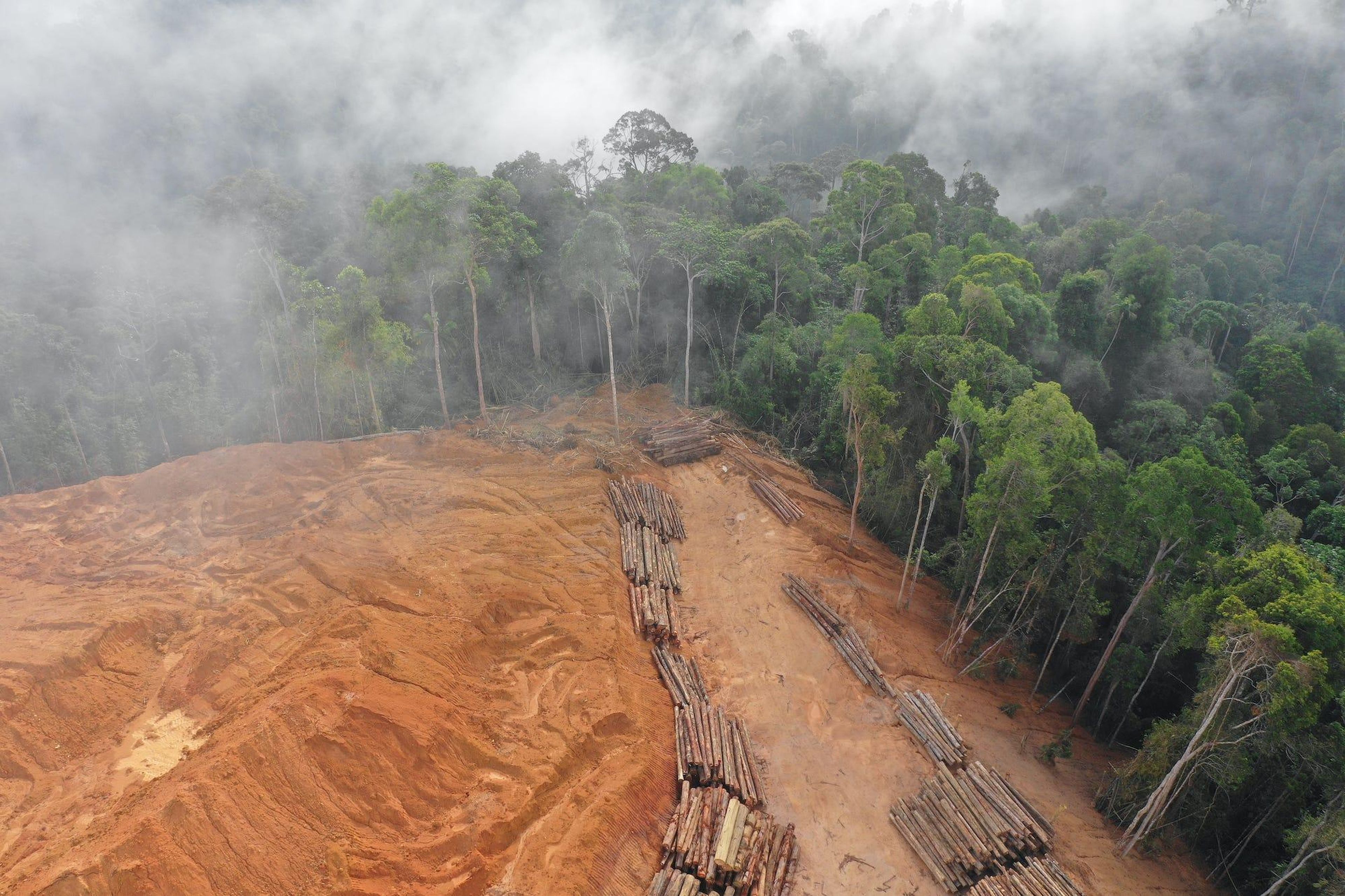 Aerial photo of deforestation in Malaysia rainforest.