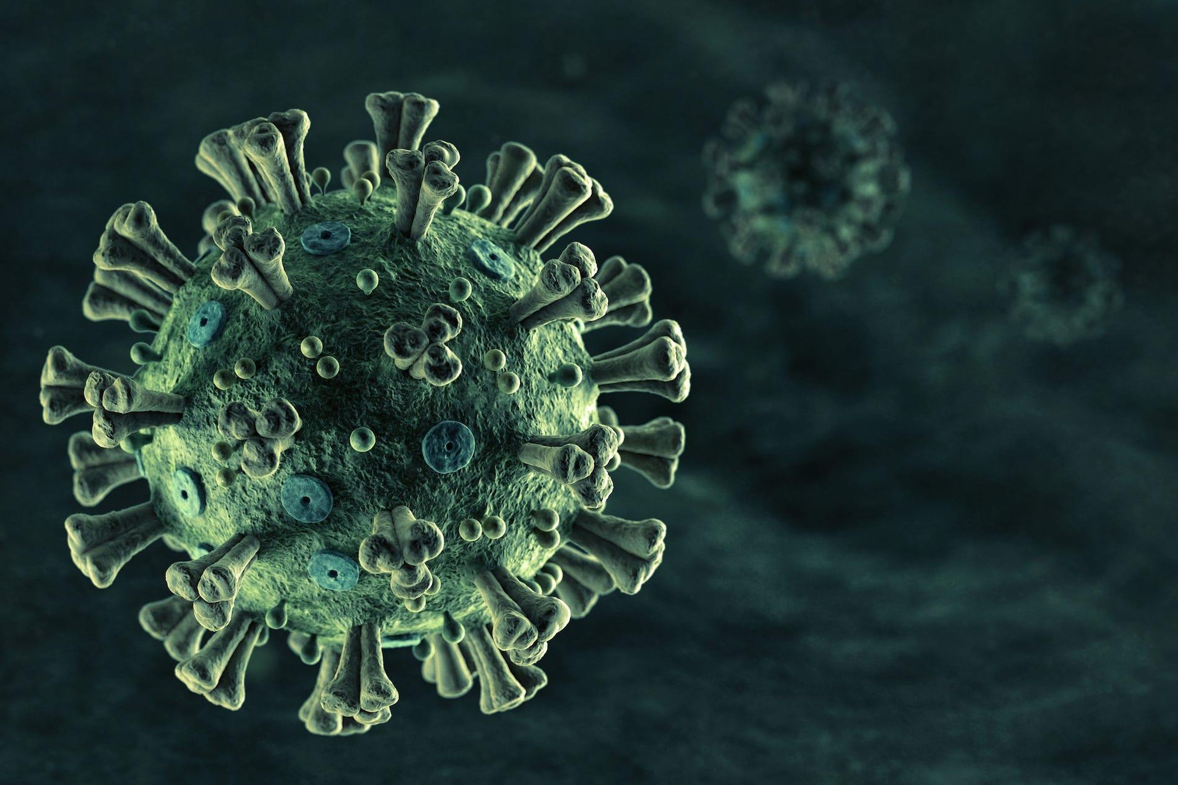 Una ilustración del nuevo coronavirus, SARS-CoV-2.