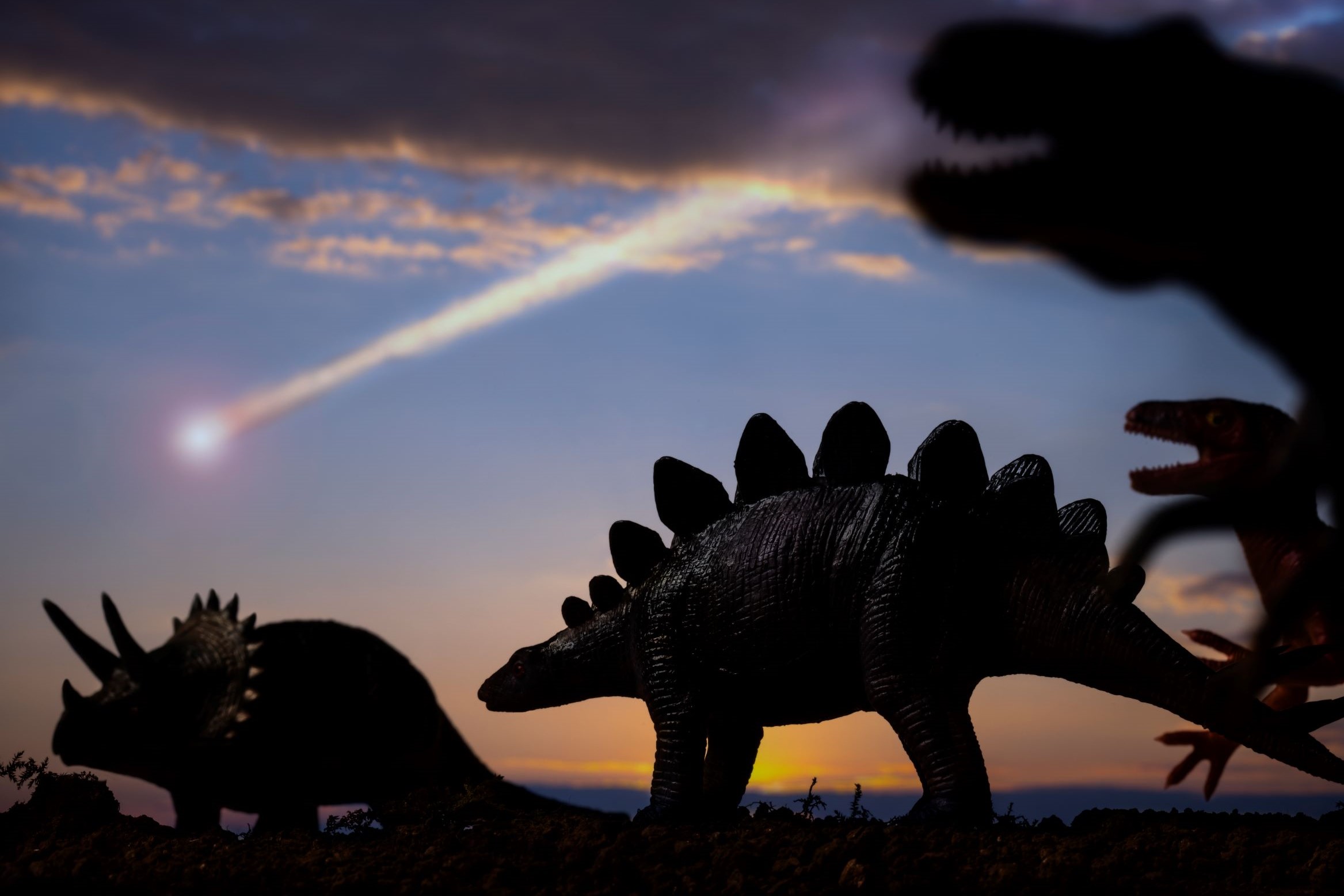 Científicos recrean el asteroide que acabó con los dinosaurios | Business  Insider España