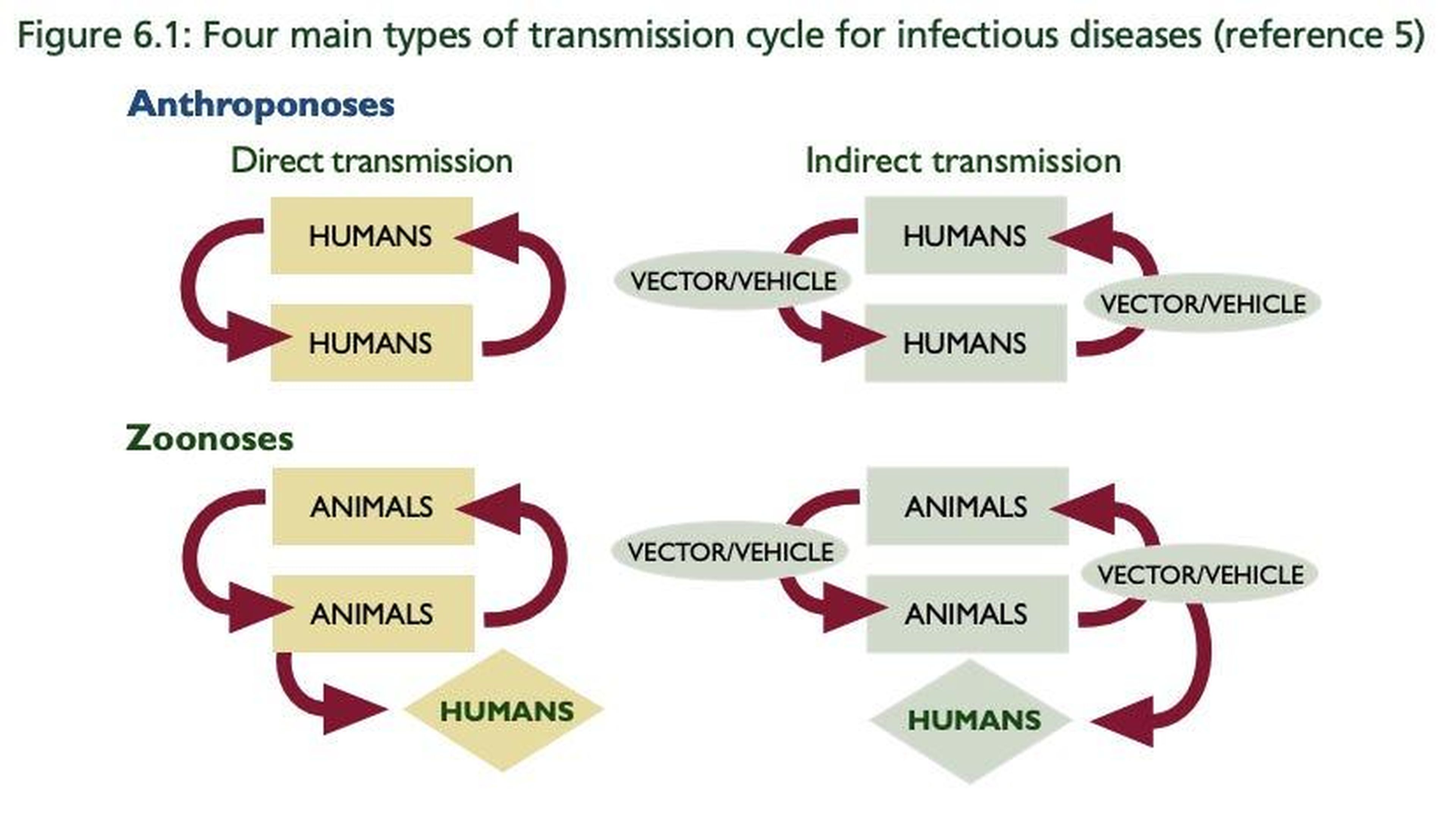 An illustration showing an example of human-to-human disease transmission.