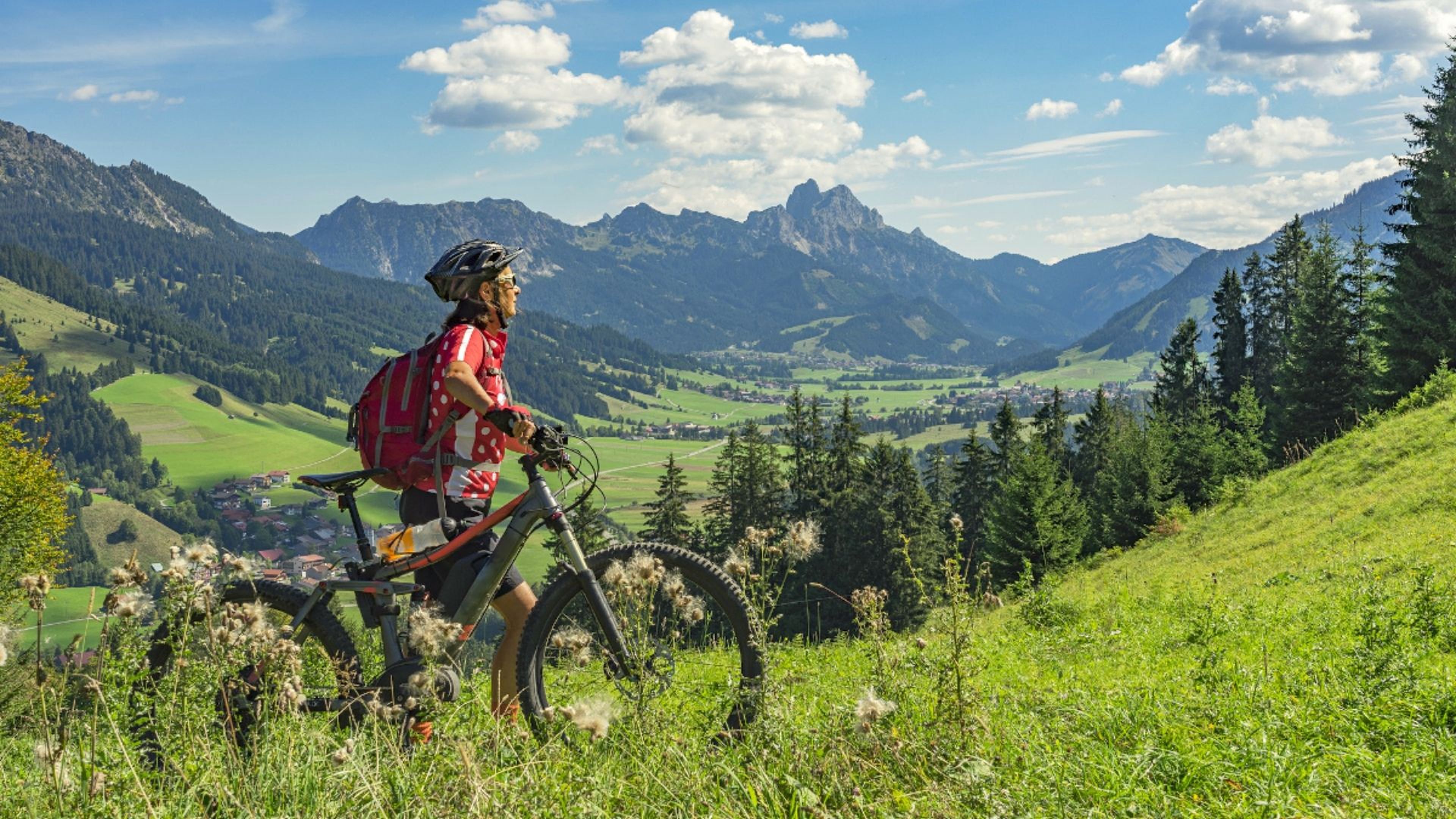 Monetario los pulgar Las mejores bicicletas de montaña baratas de 2020 | Business Insider España