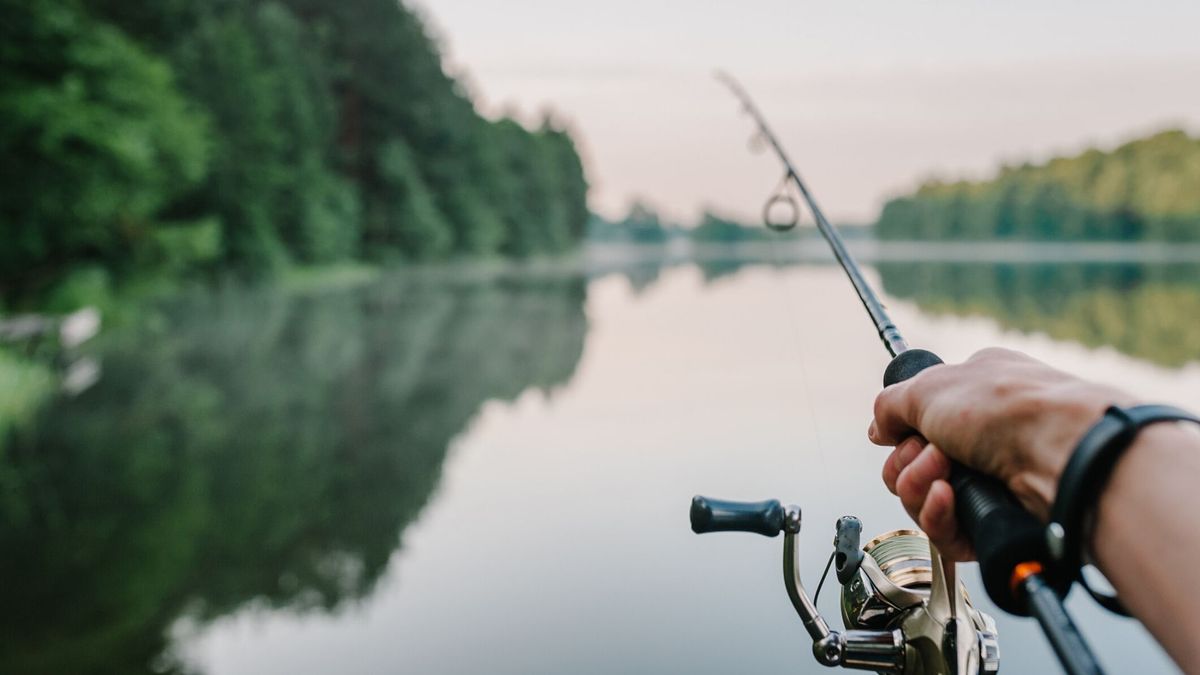 Pesca para principiantes: guía y equipo básico según la modalidad