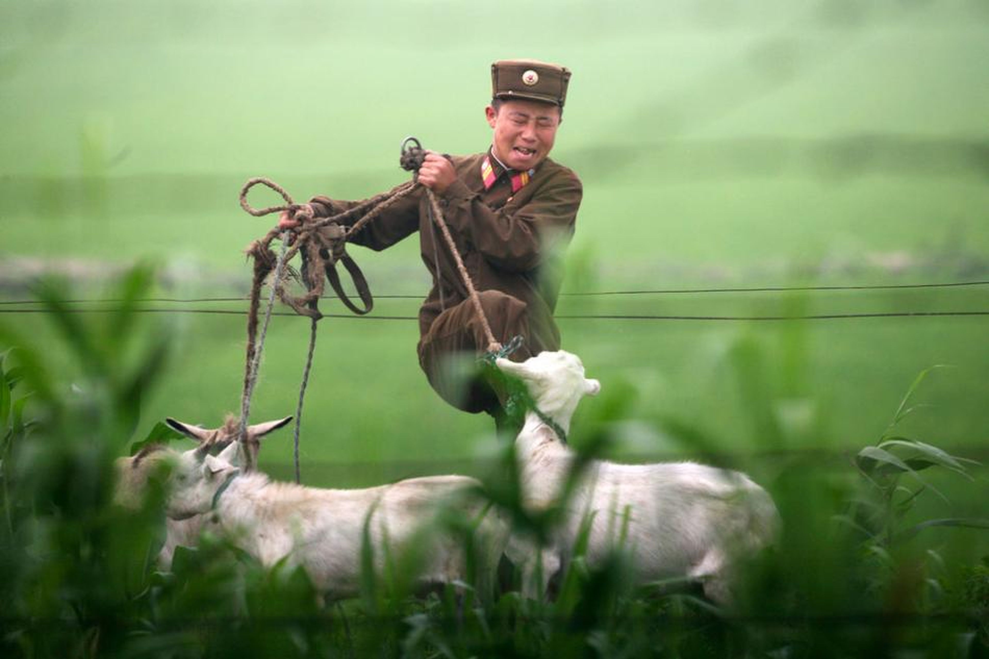 Un soldado norcoreano patea una cabra a orillas del río Yalu en julio de 2009.