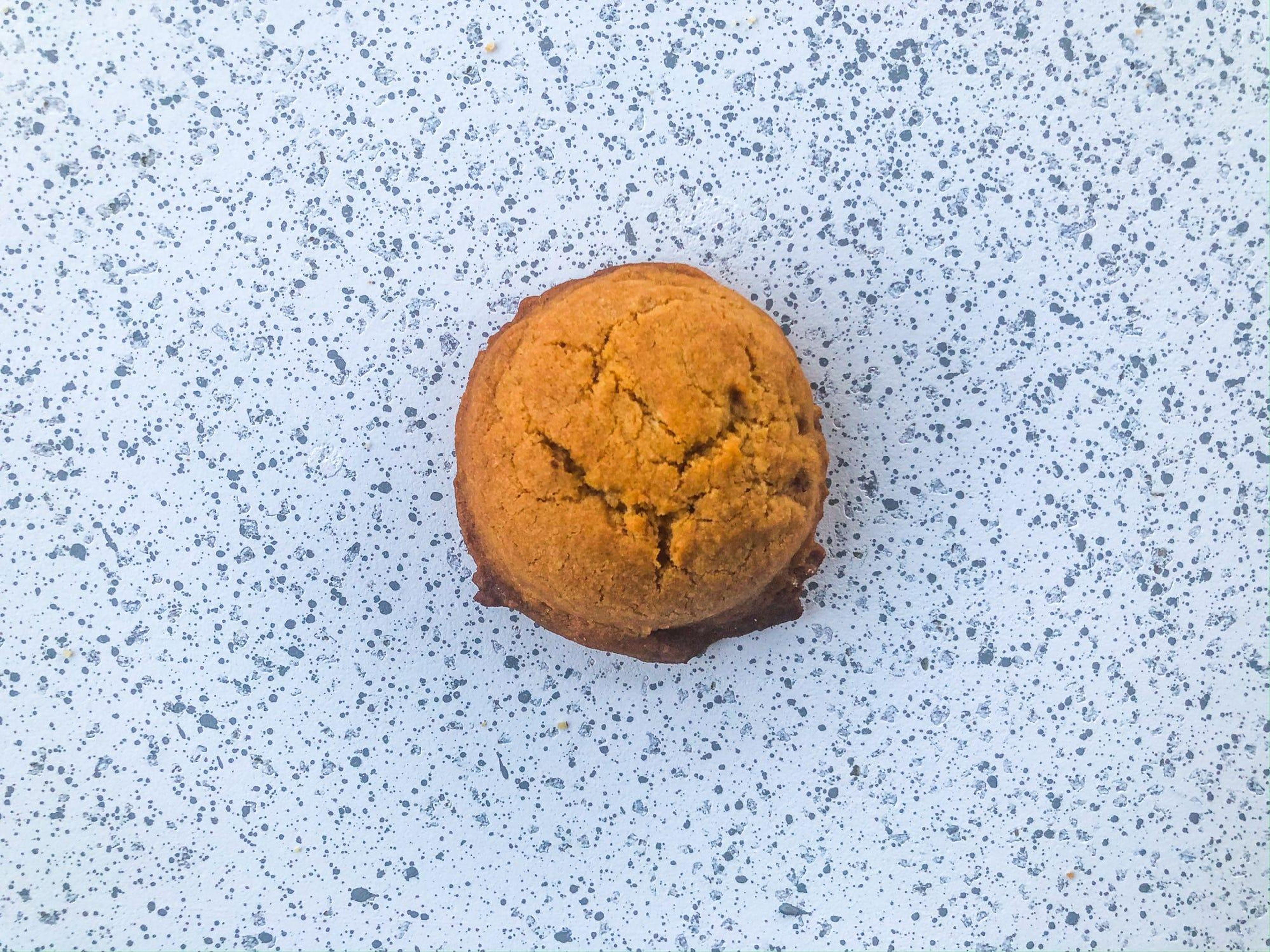 A cookie with too much flour.