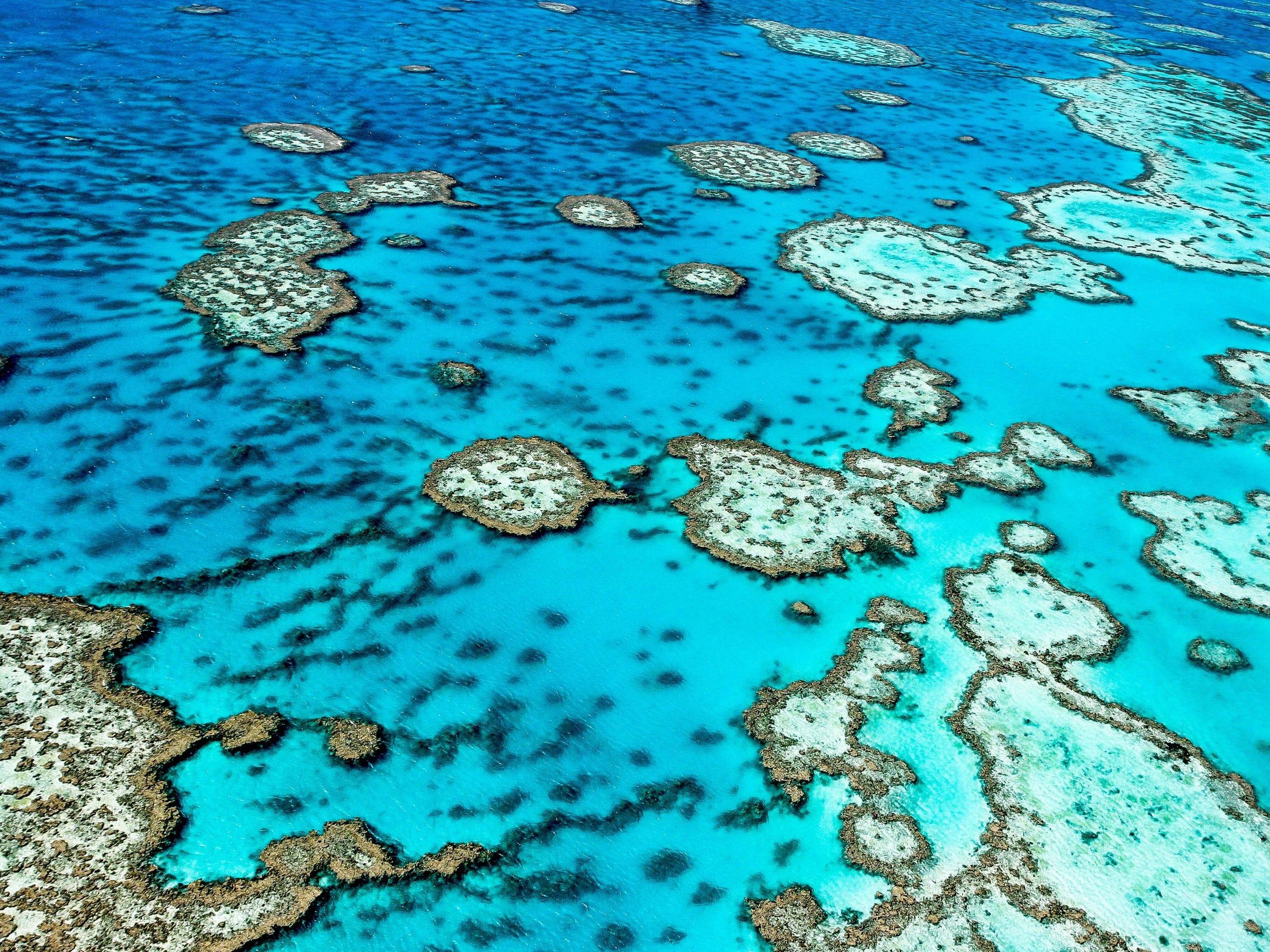 La Gran Barrera de Coral de Australia es el sistema de arrecifes de coral más grande del mundo.