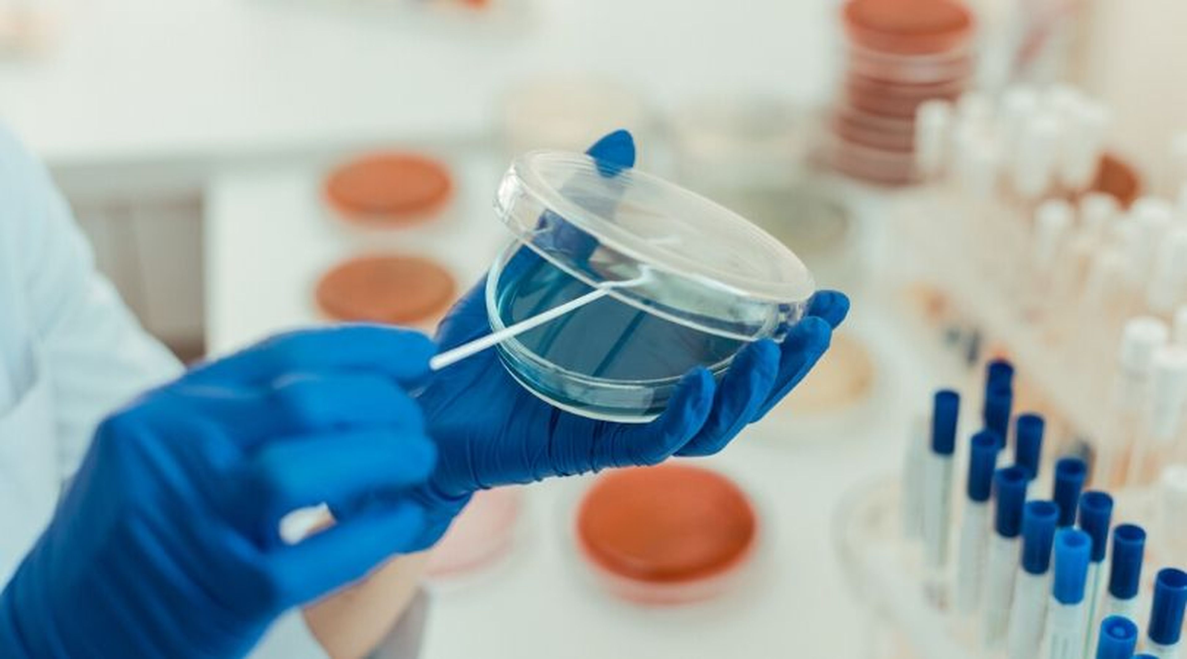 Investigadores cultivan y transplantan con éxito hígados humanos a partir de la piel