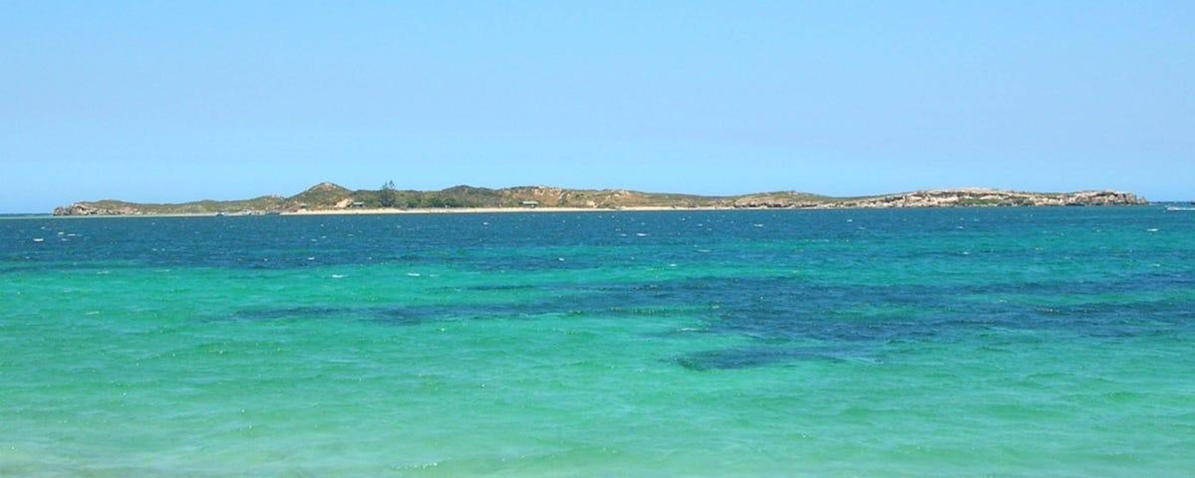Penguin Island (Australia)