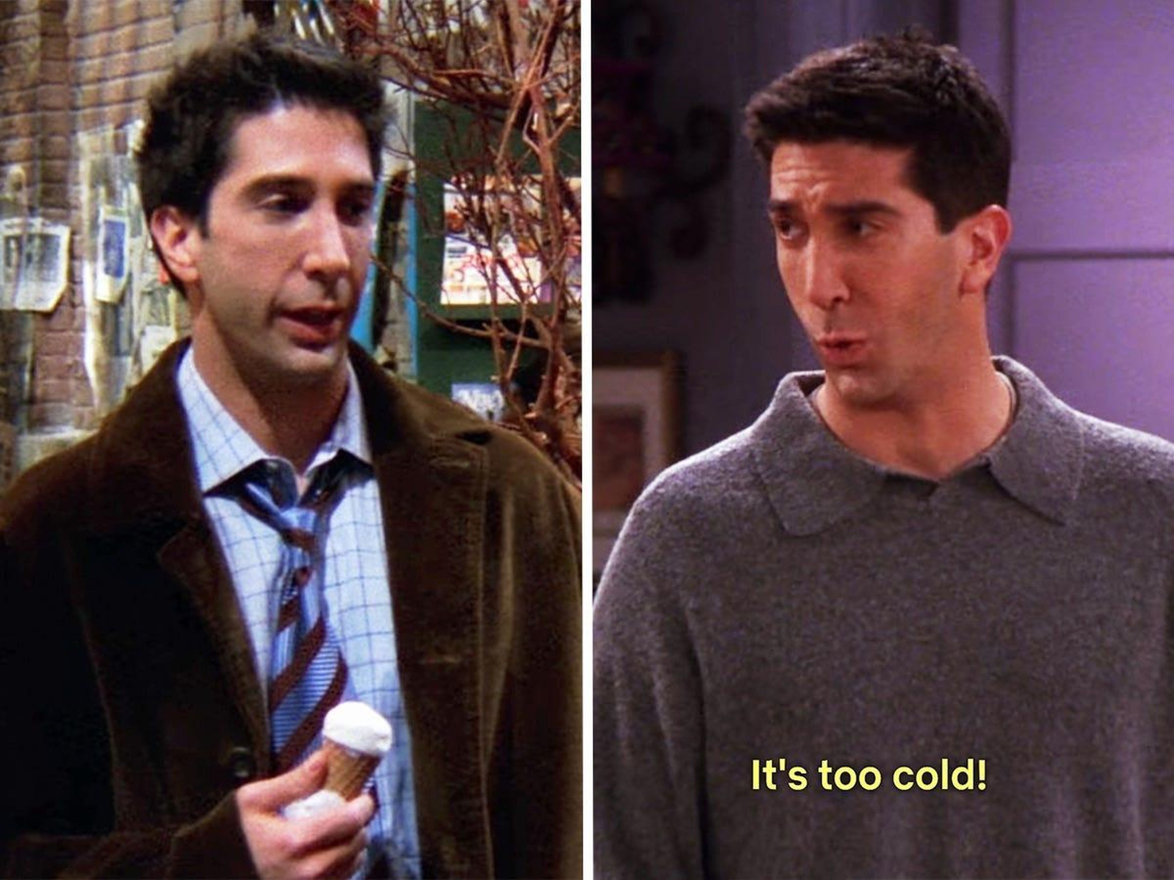 Ross en 'El de cuando Ross sale con una estudiante' y 'En el que a Chandler no le gustan los perros'.