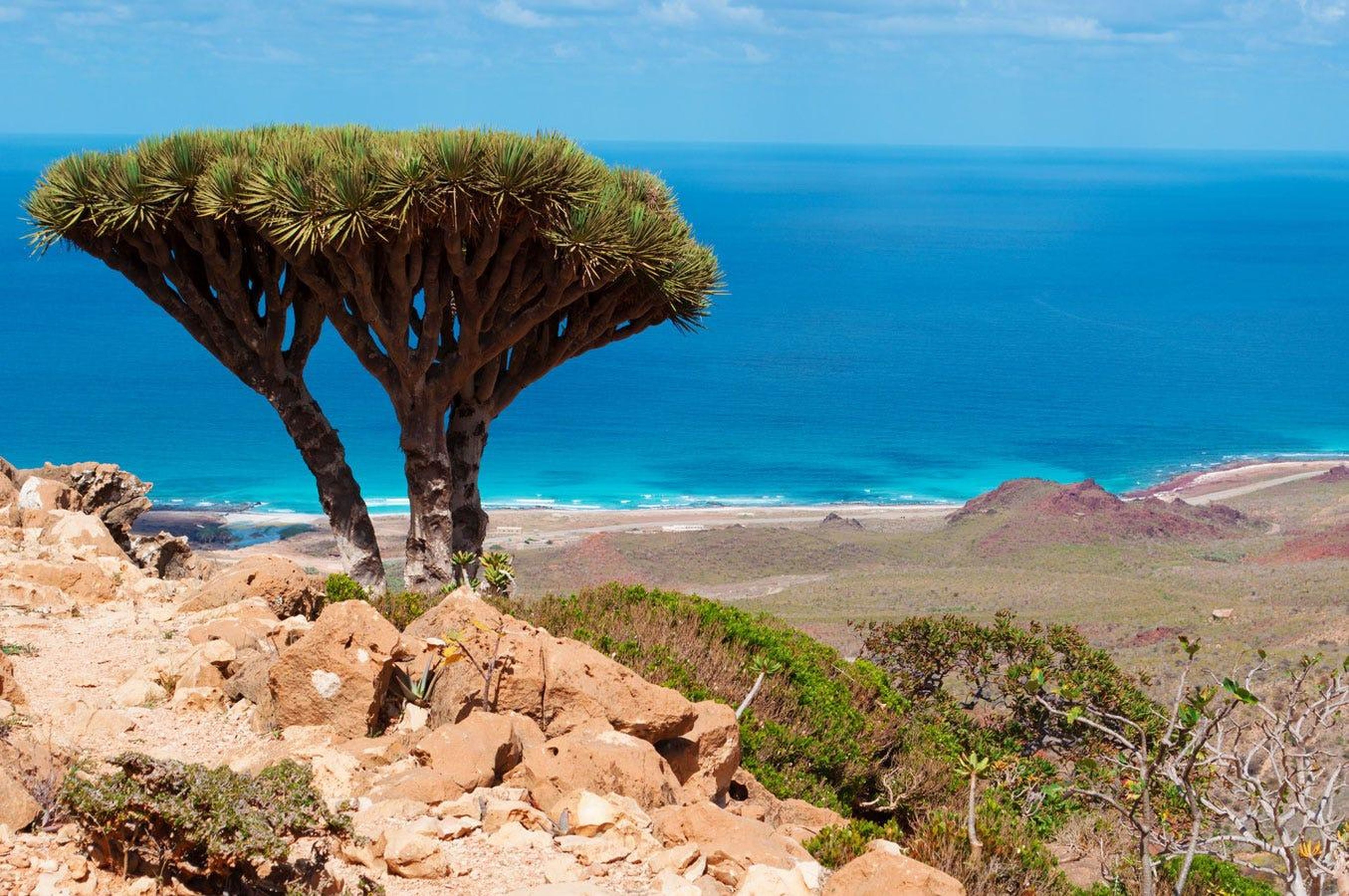 Socotra (Yemen)