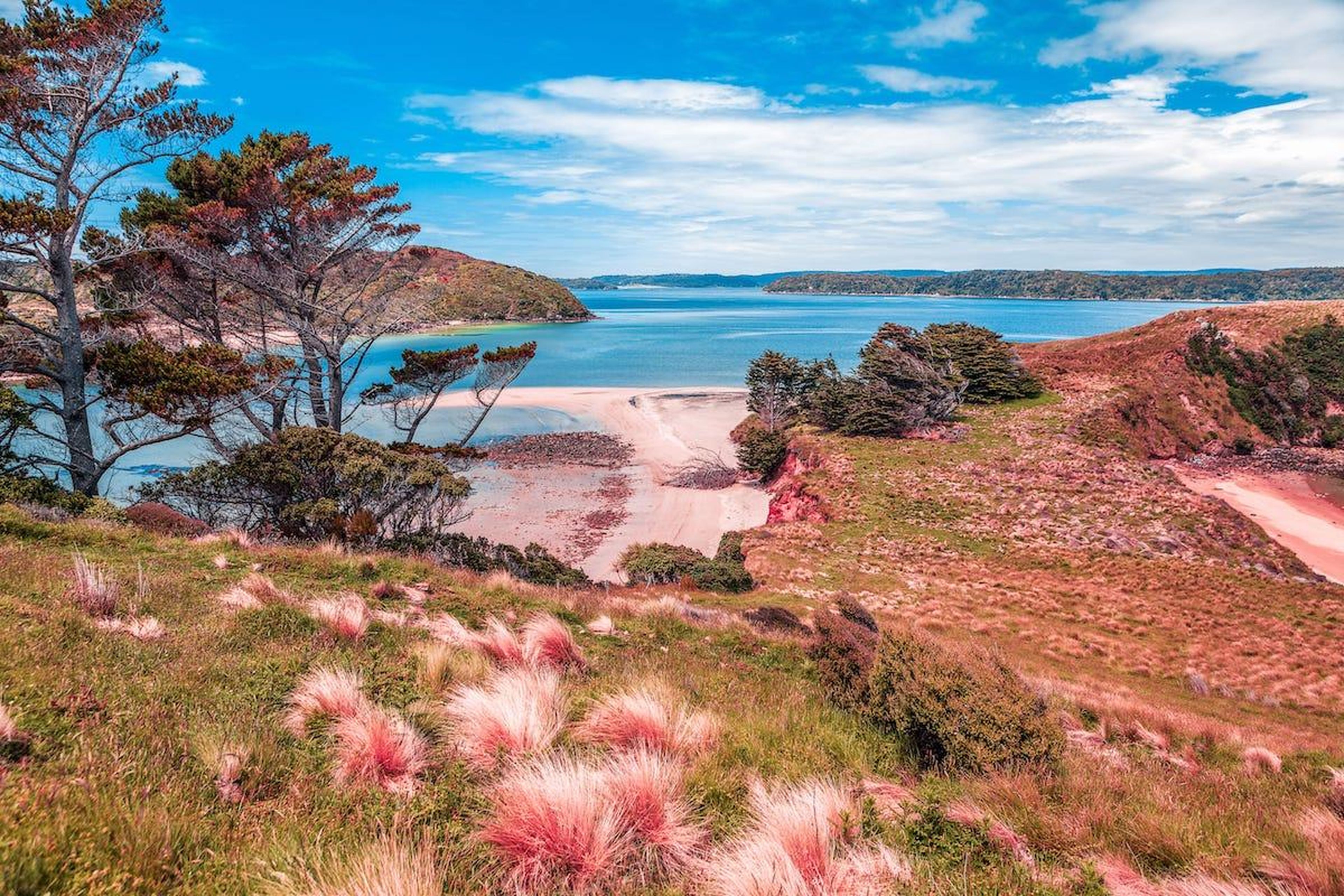 Isla Stewart (Nueva Zelanda)