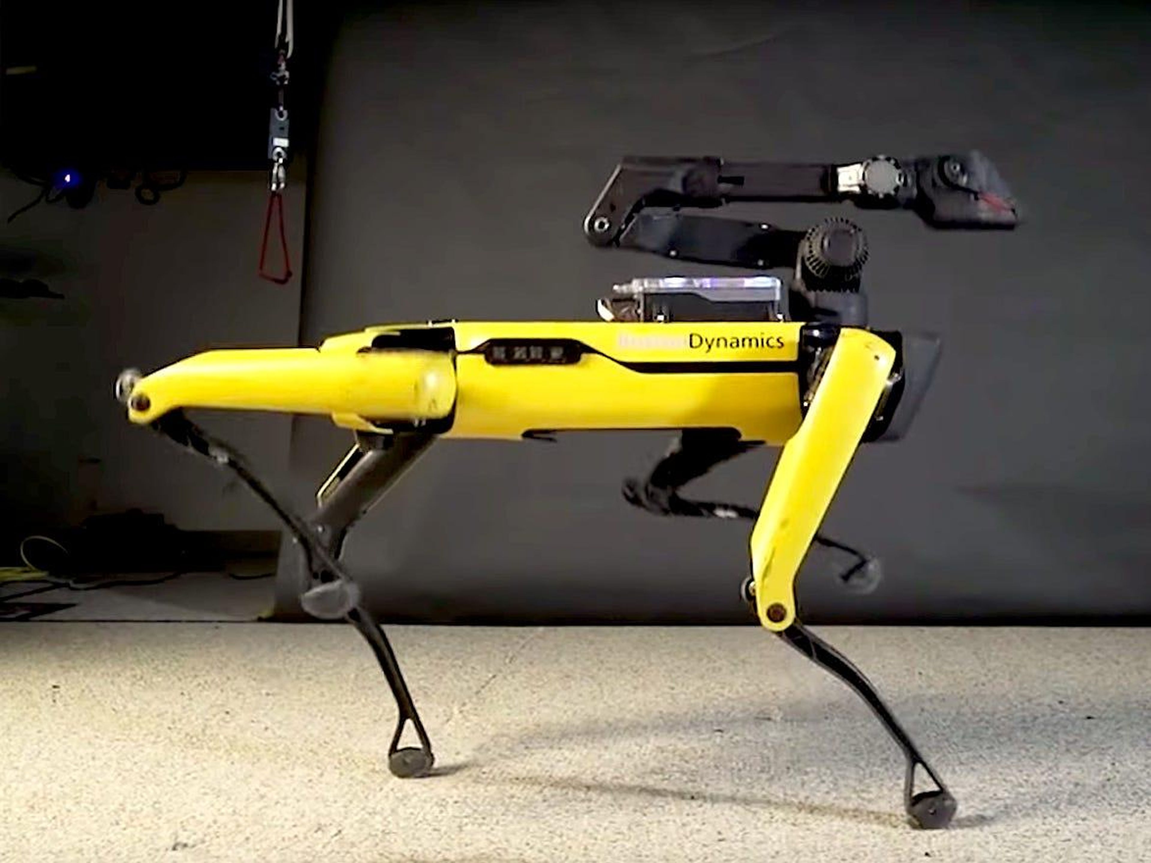 Boston Dynamics' robot dog.