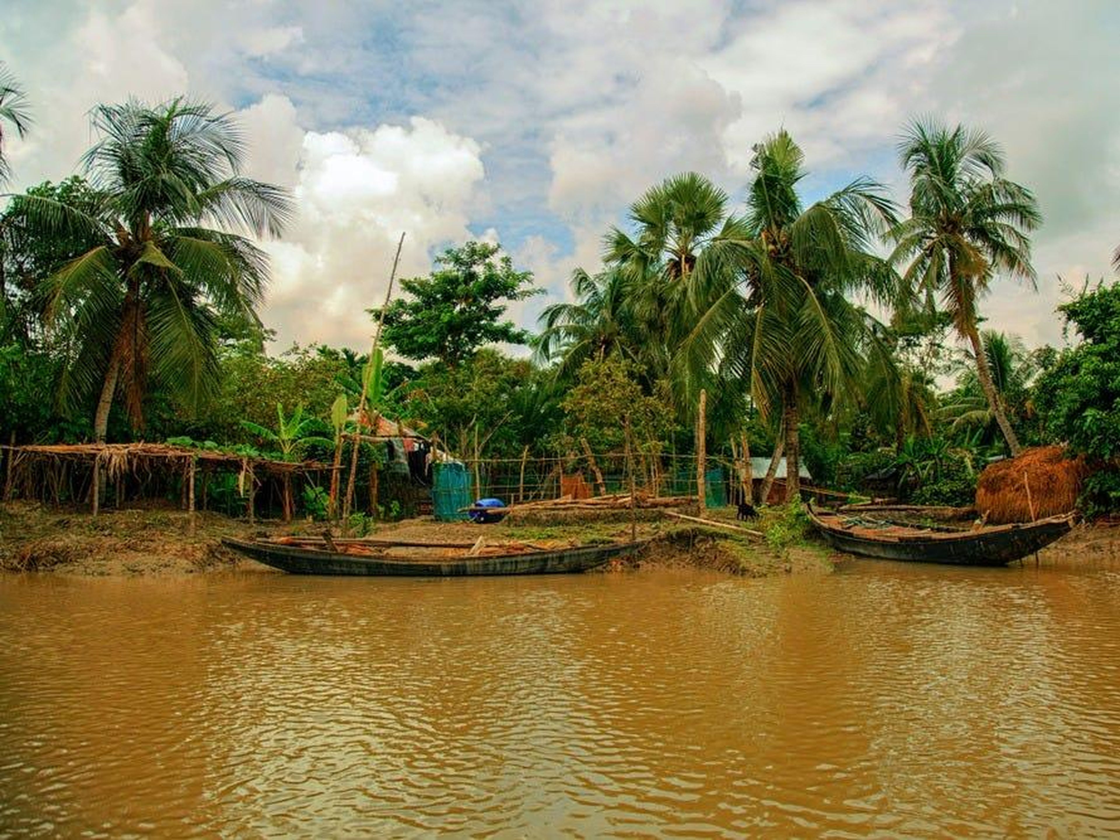 Los Sundarbans se forman en la unión de los ríos Ganges, Brahmaputra y Meghna.