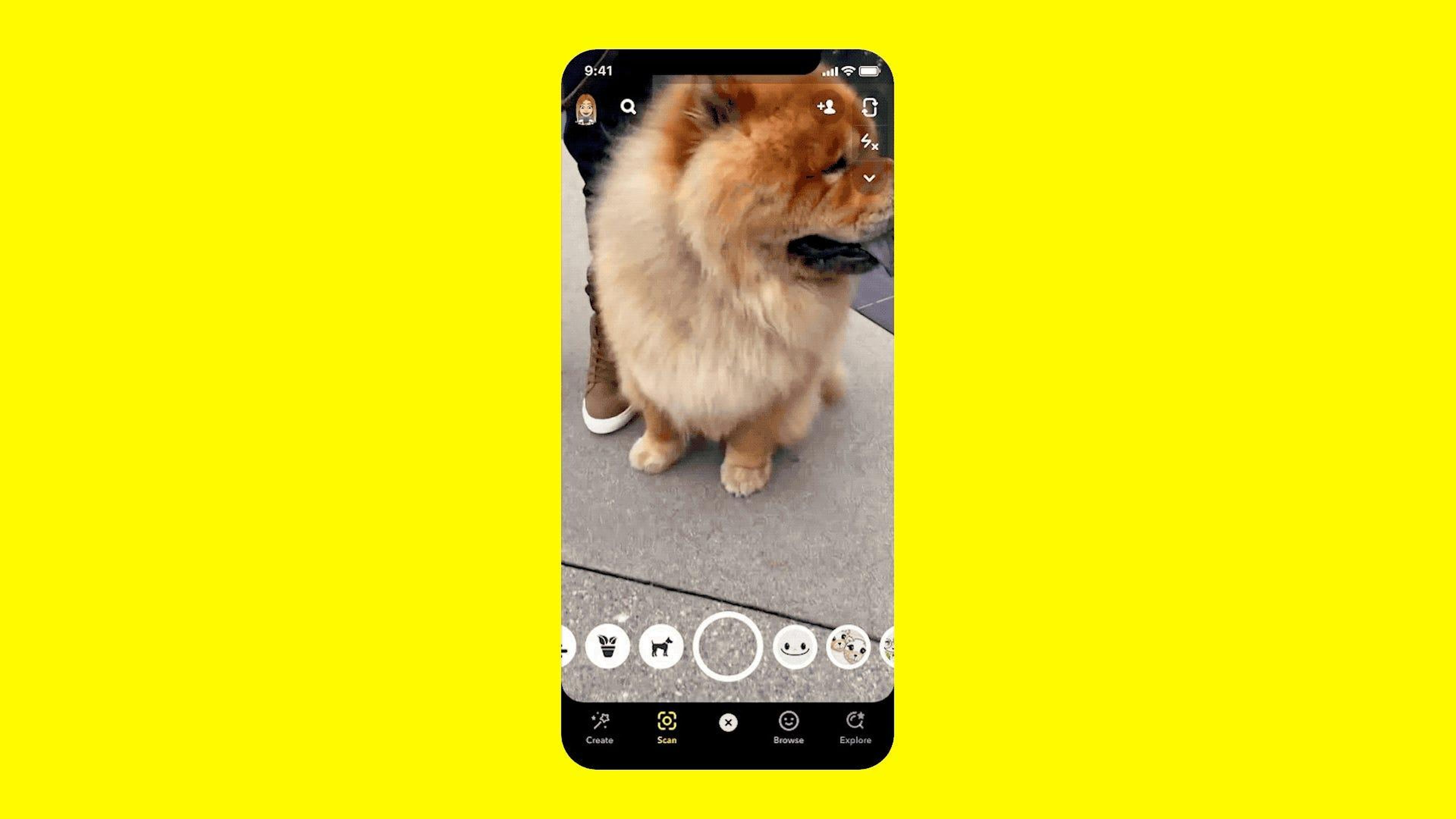 Ahora puedes usar la cámara de realidad aumentada de Snapchat para identificar razas de perros y especies de plantas.