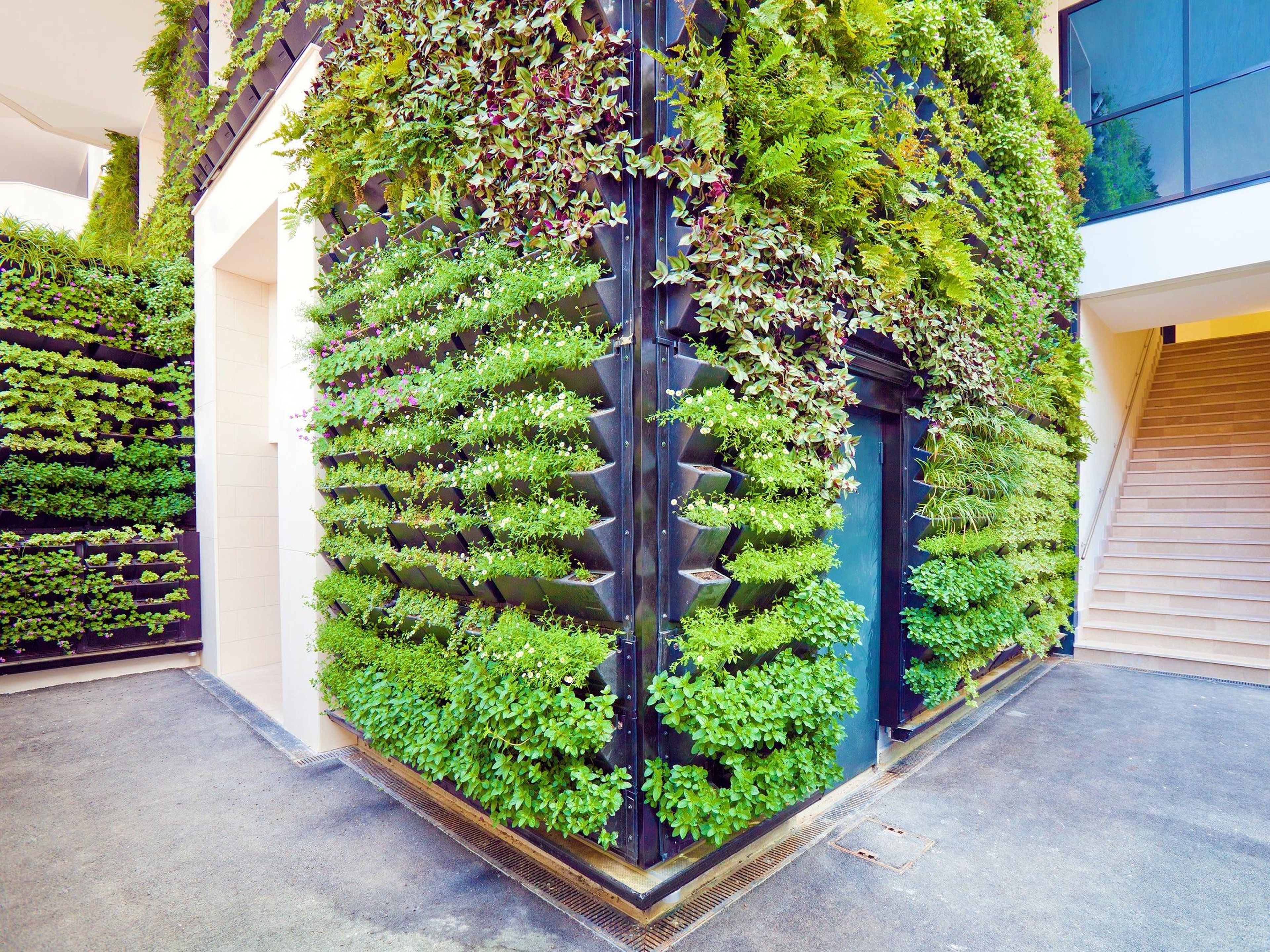 3. Nature will be brought inside via living walls and herb gardens
