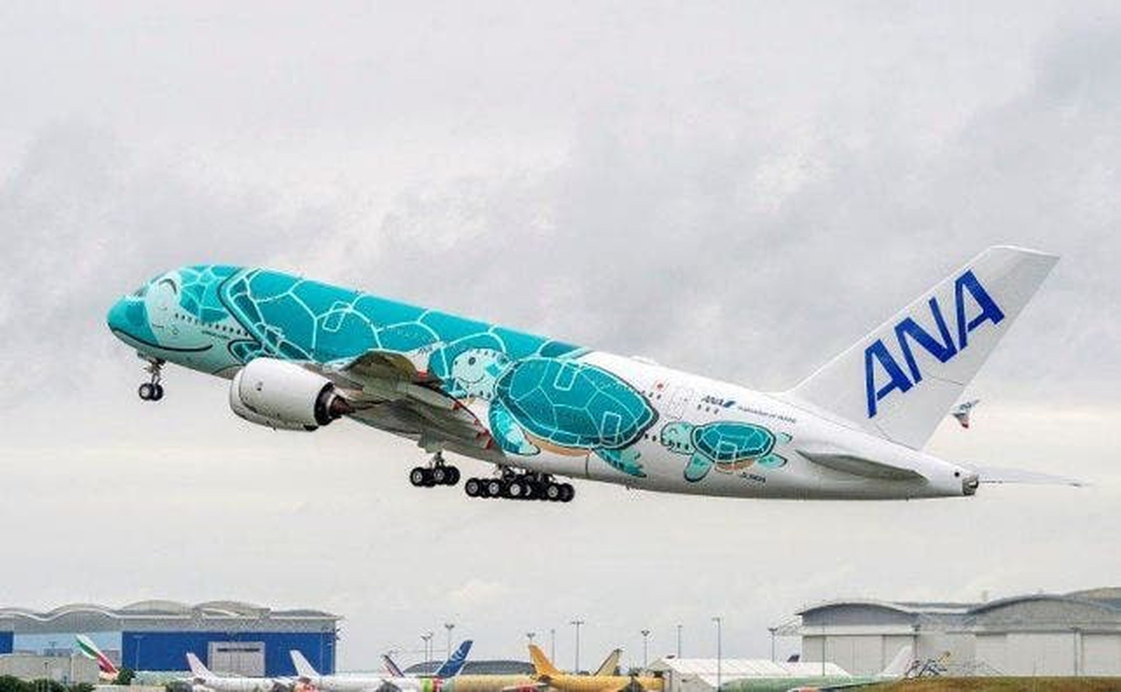 El A380 con la tortuga verde ya realizó su vuelo de mantenimiento en julio.