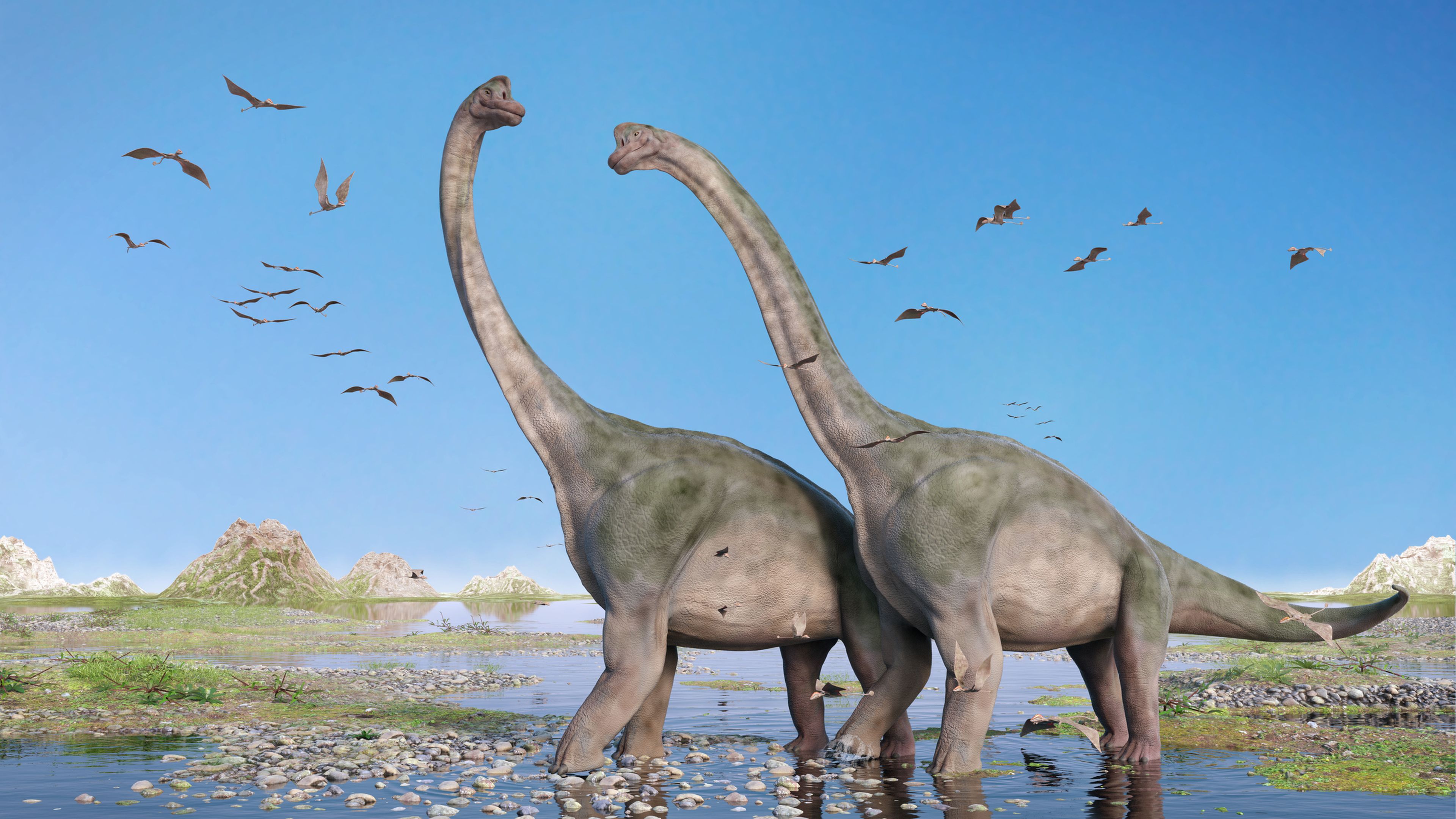 El Brontosaurio es un dinosaurio pero no siempre lo fue.