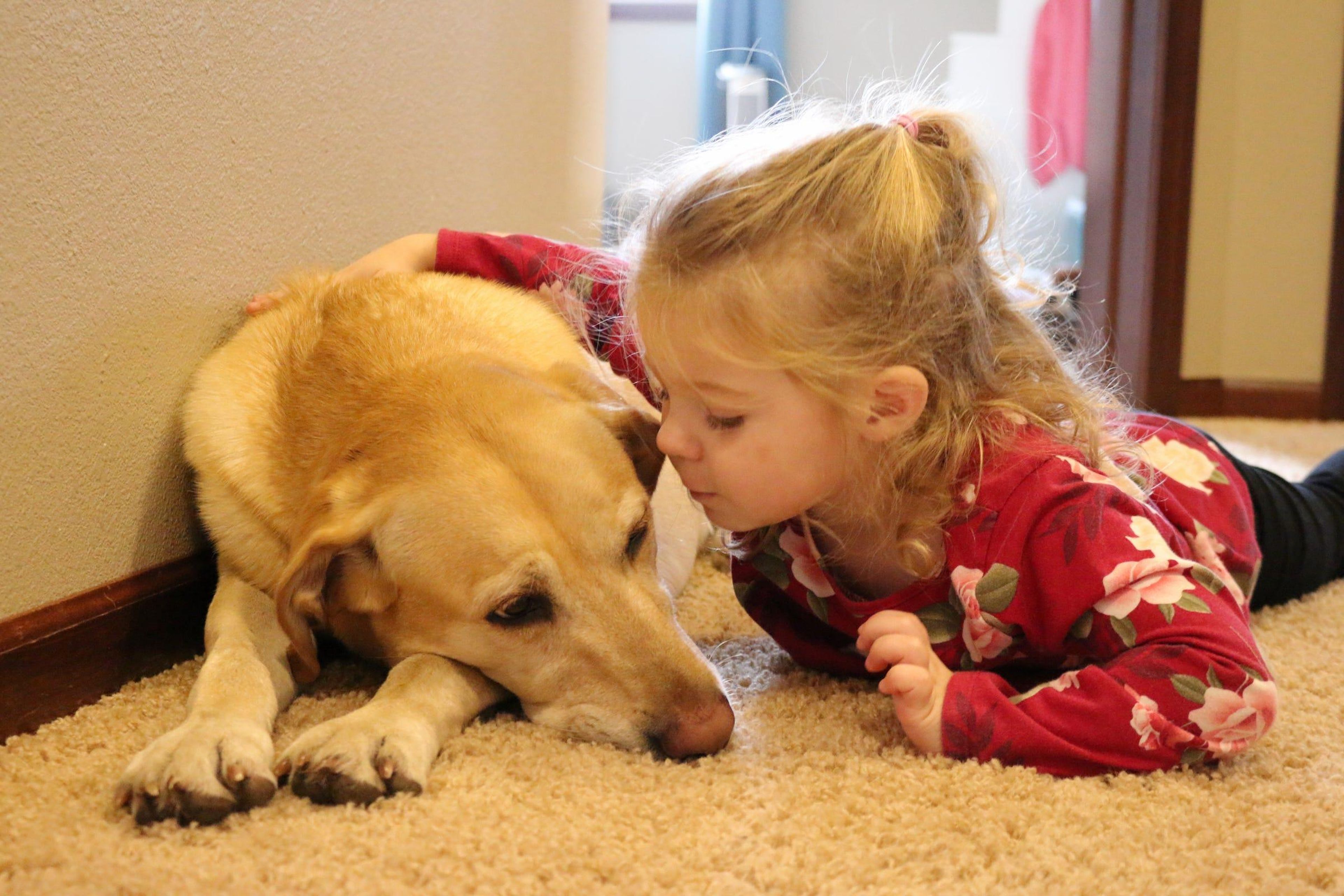 A child and her labrador. Brittany Schauer Photography/Getty