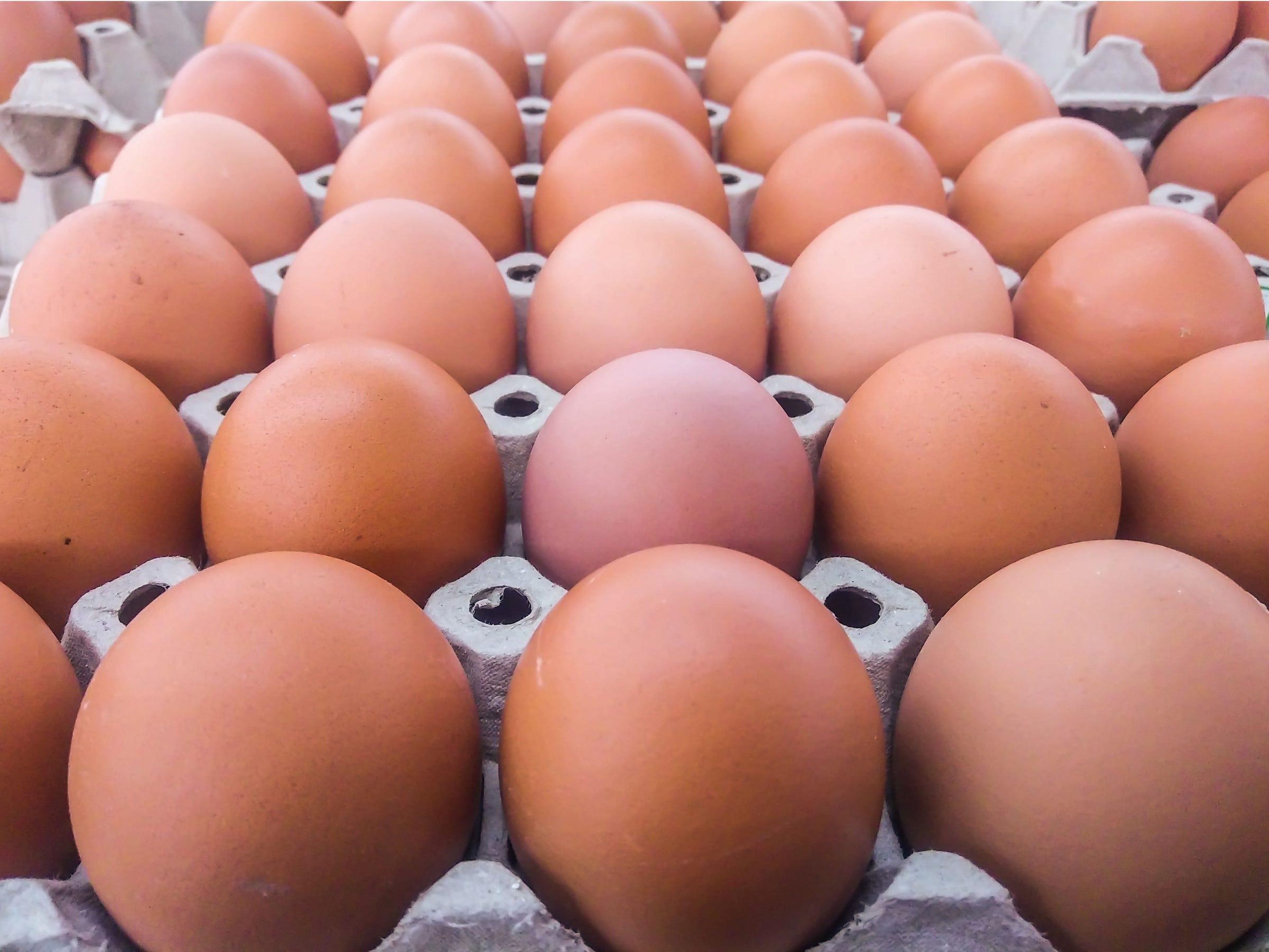 Eggs need consistent temperatures.