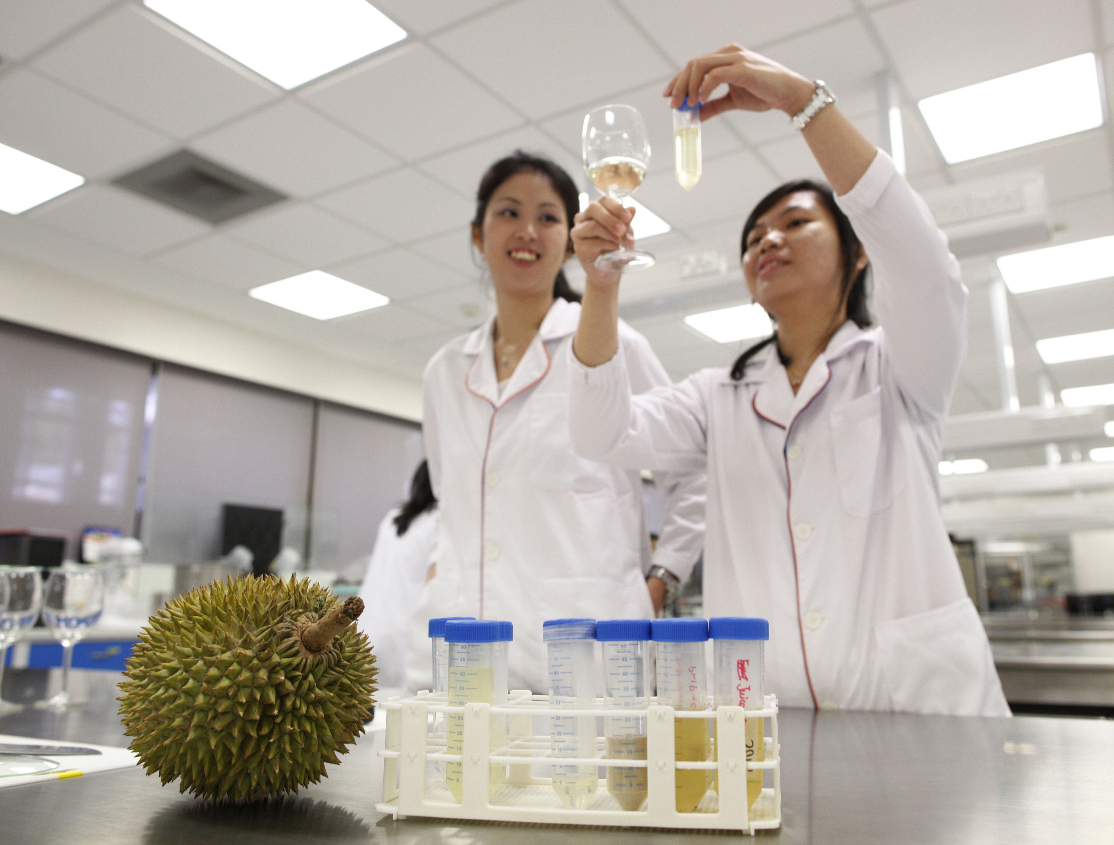 El futuro de las baterías eléctricas está en el durián