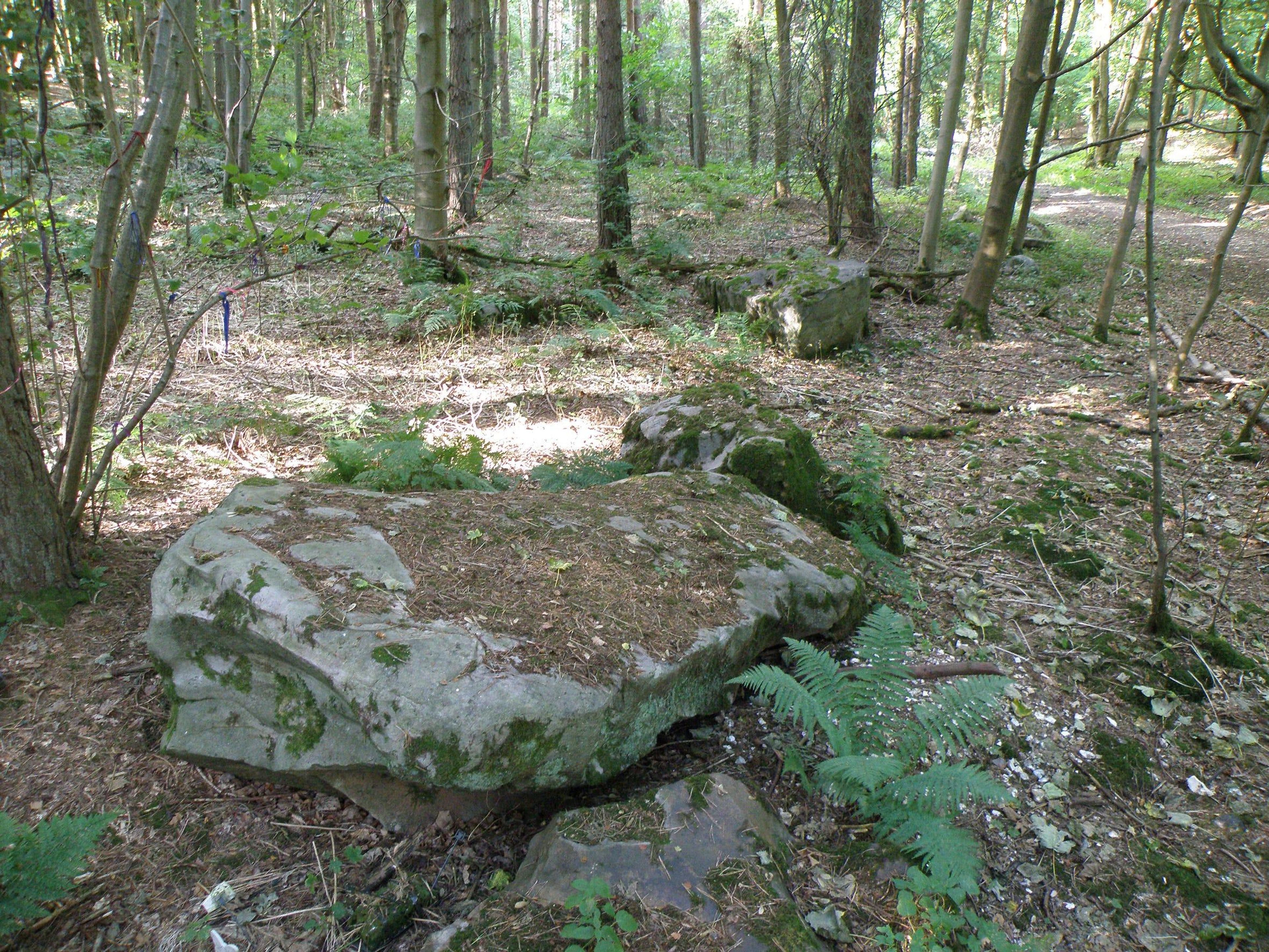 Una gran piedra sarsen en West Woods, el área donde la mayoría de los sarsens de Stonehenge probablemente provenían.