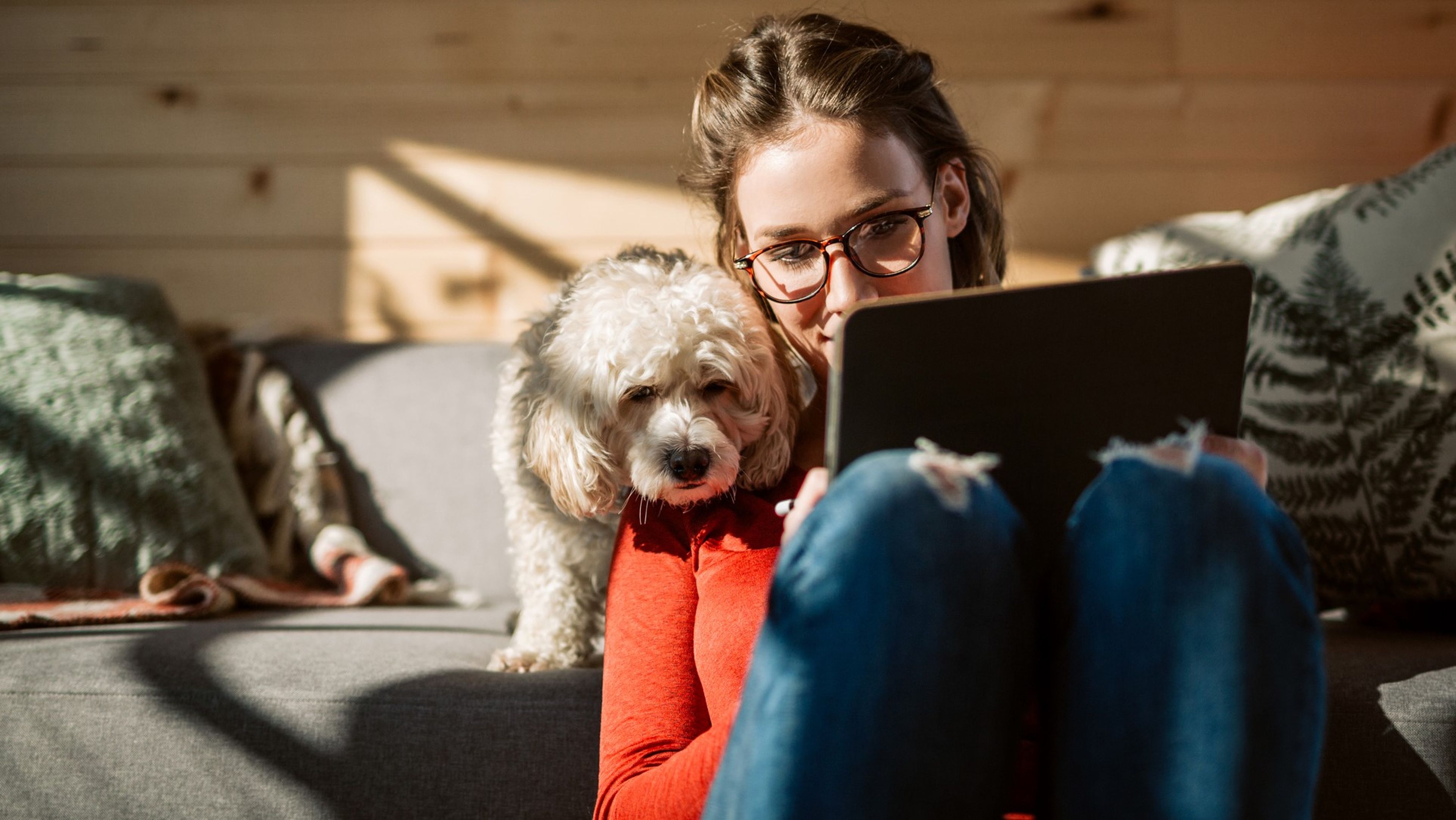 Mujer con un perro mirando el ordenador.